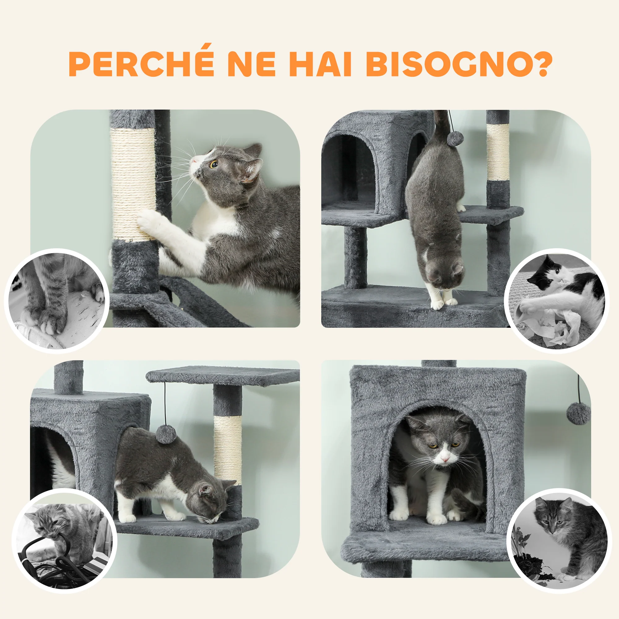 Immagine prodotto 8