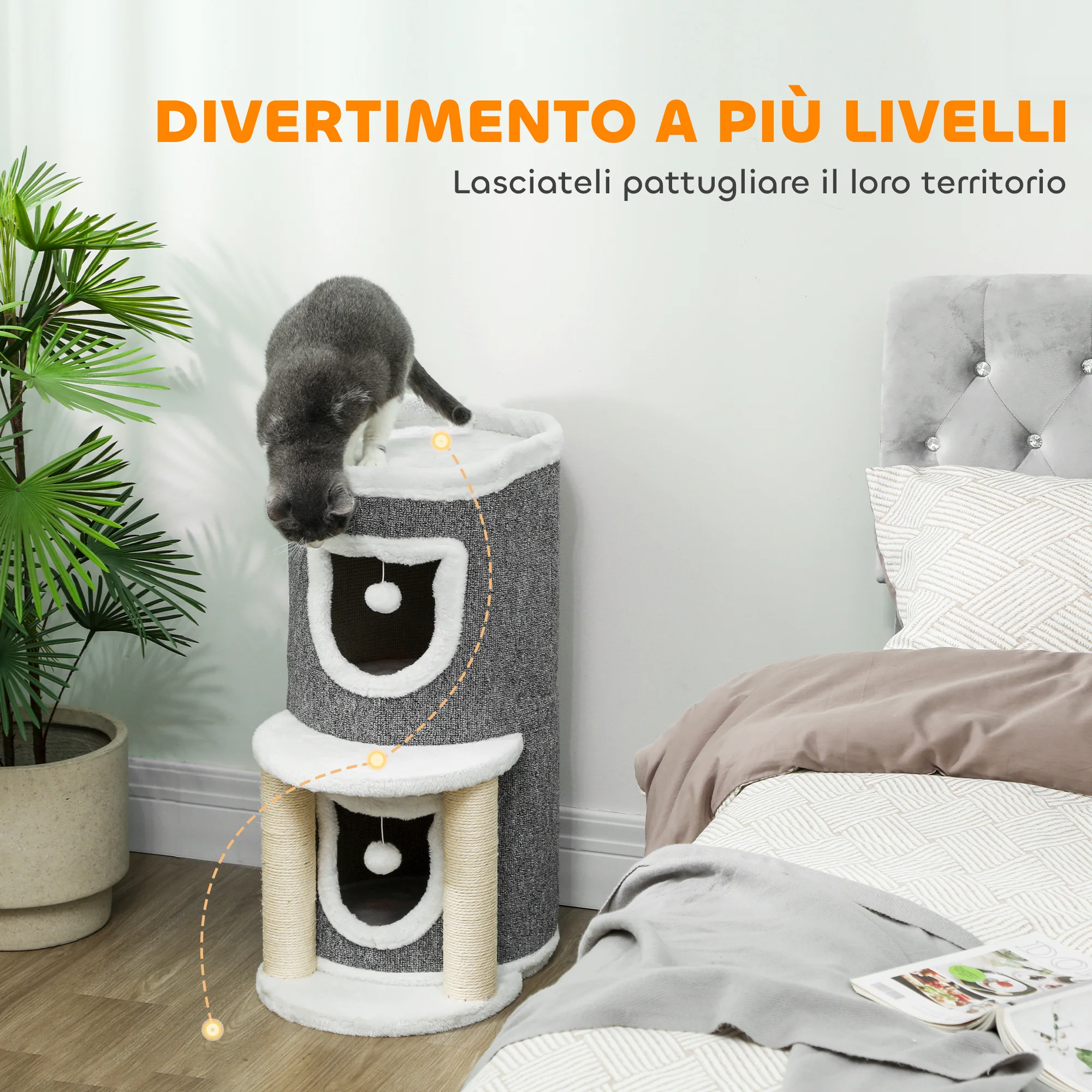 Immagine prodotto 4