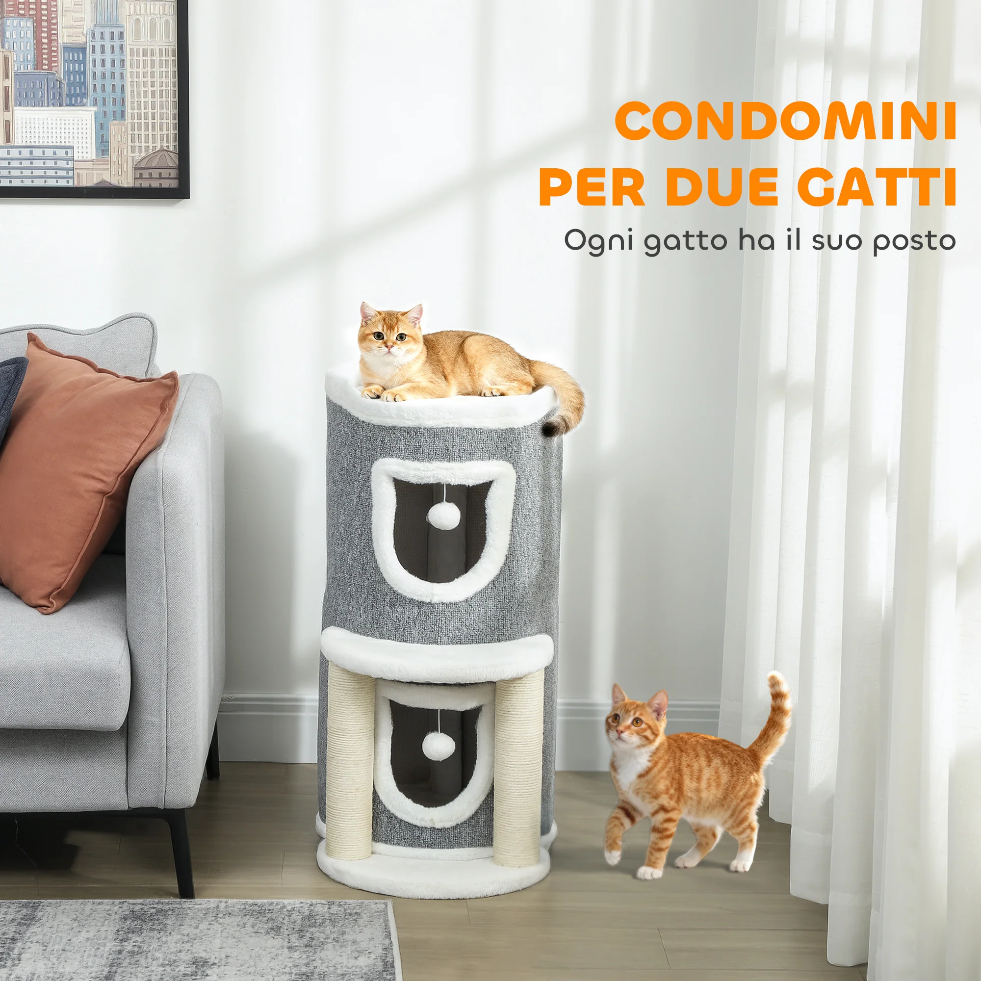 Immagine prodotto 5