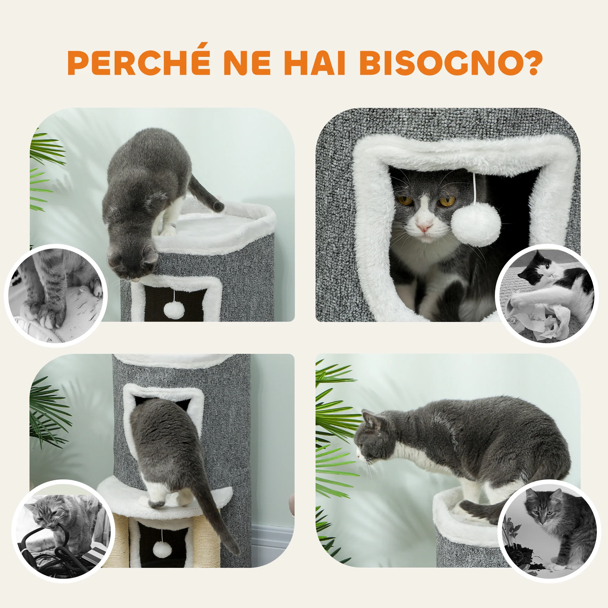 Immagine prodotto 8