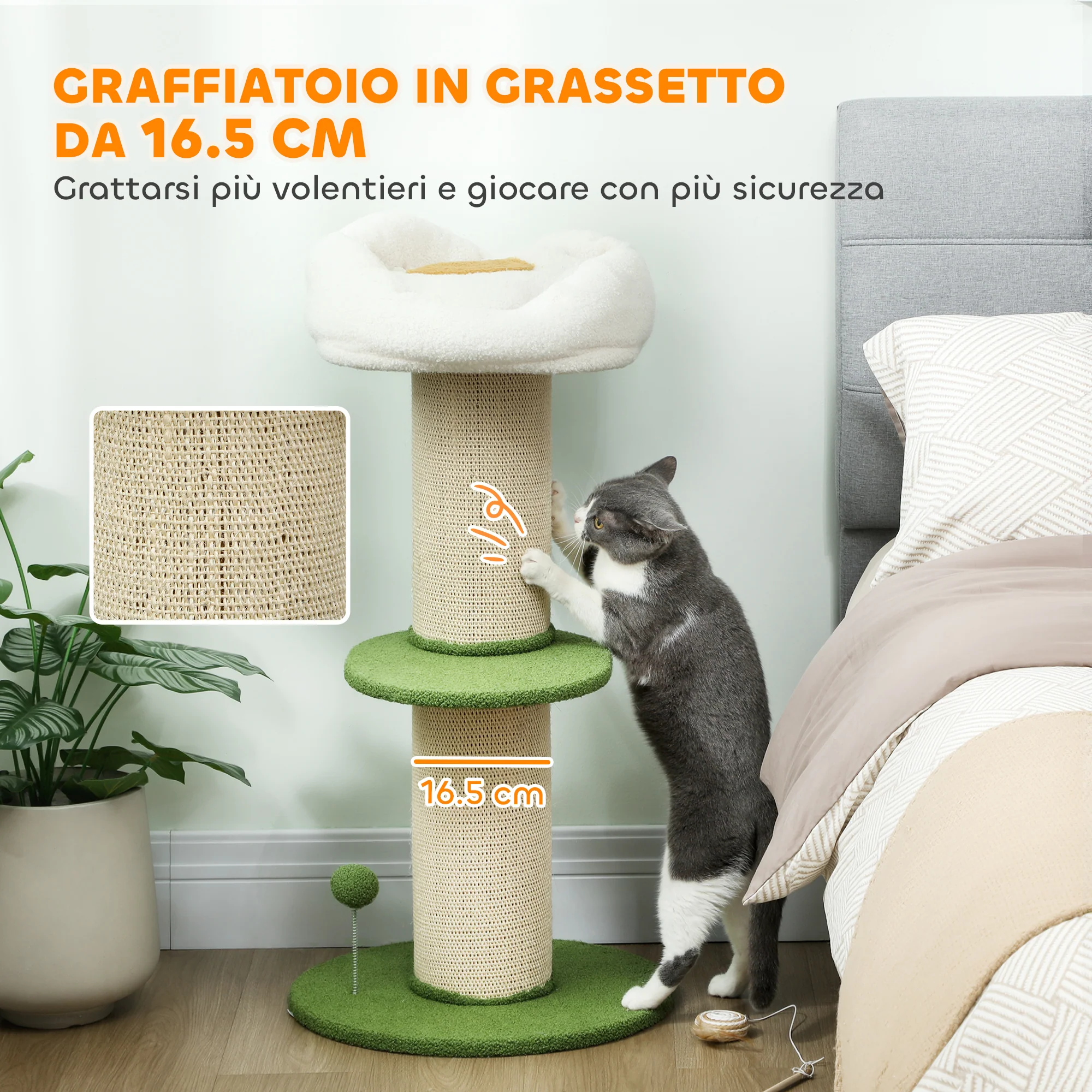Immagine prodotto 4