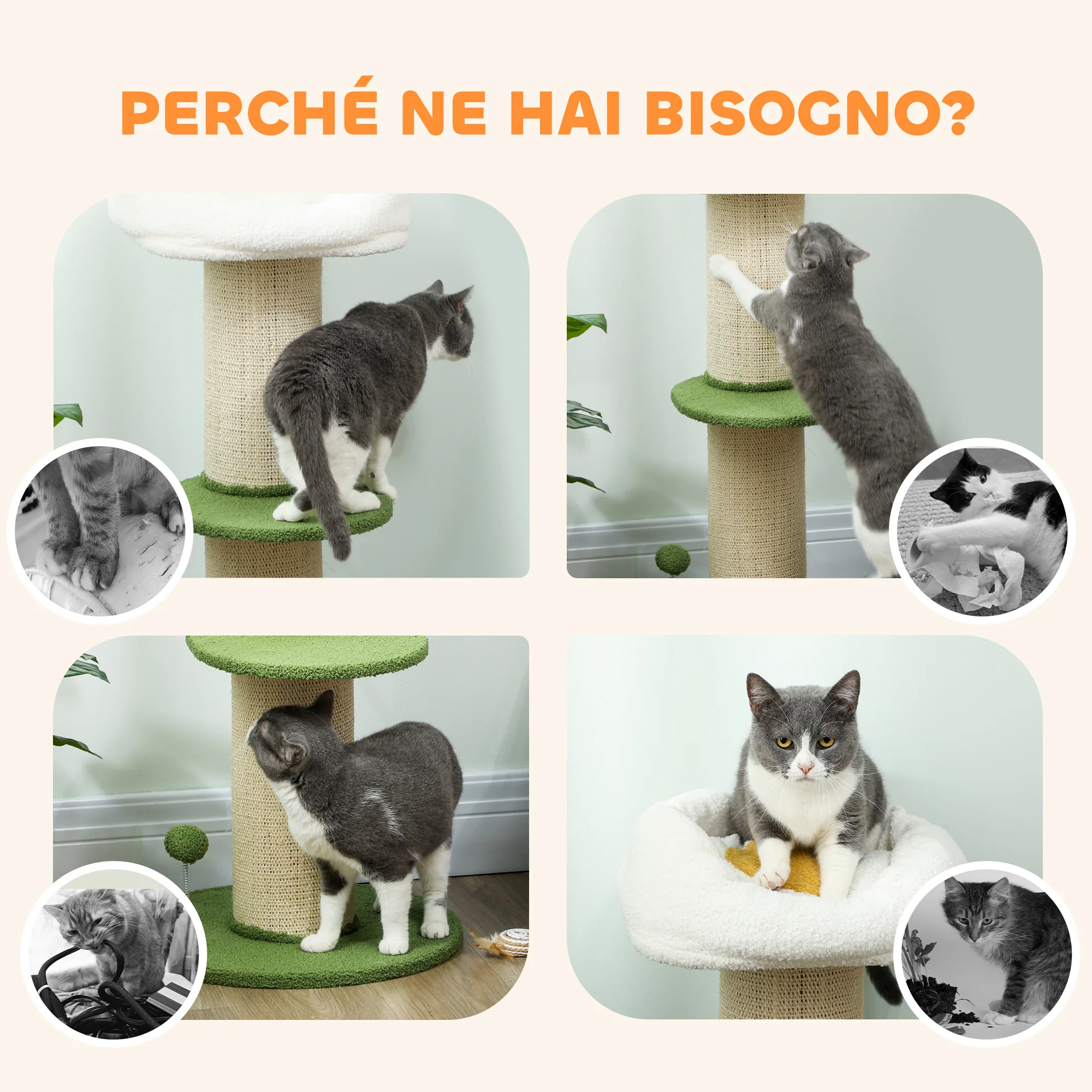 Immagine prodotto 7