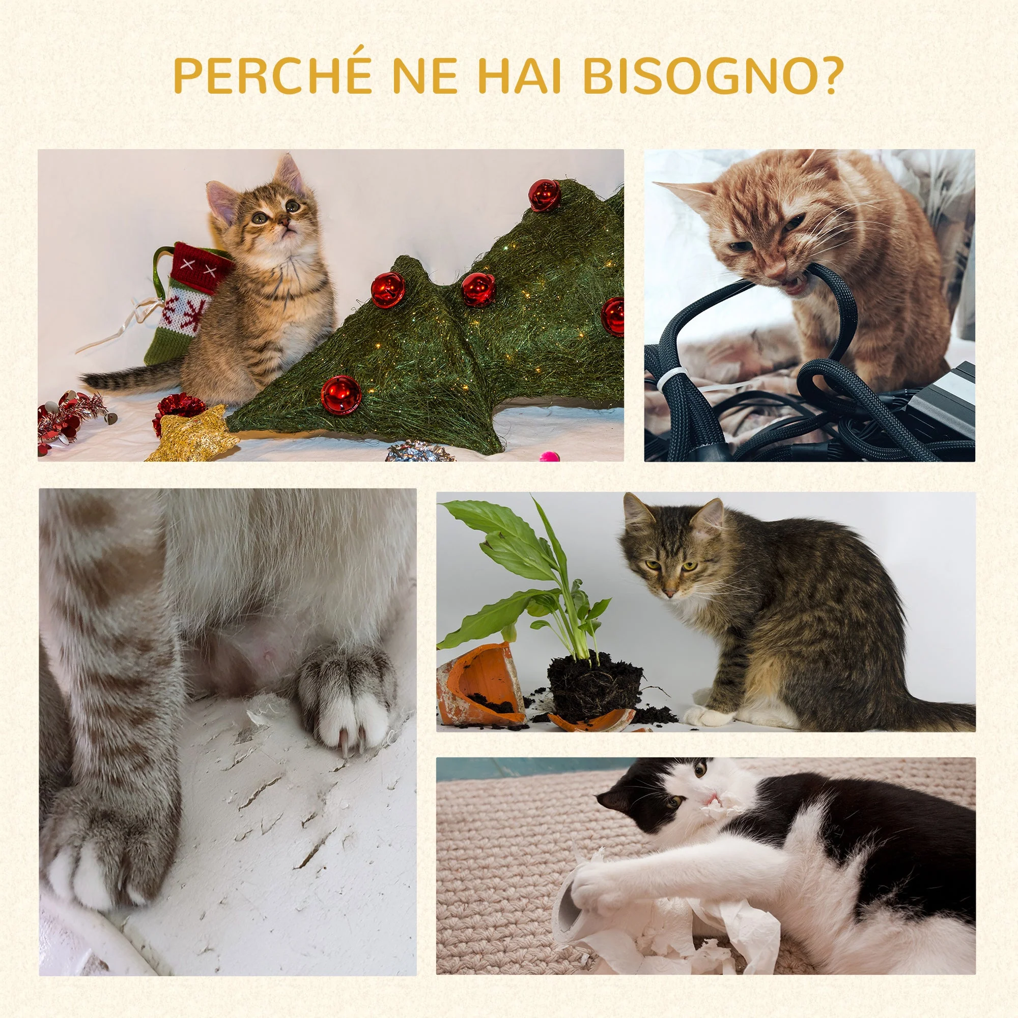 Immagine prodotto 7