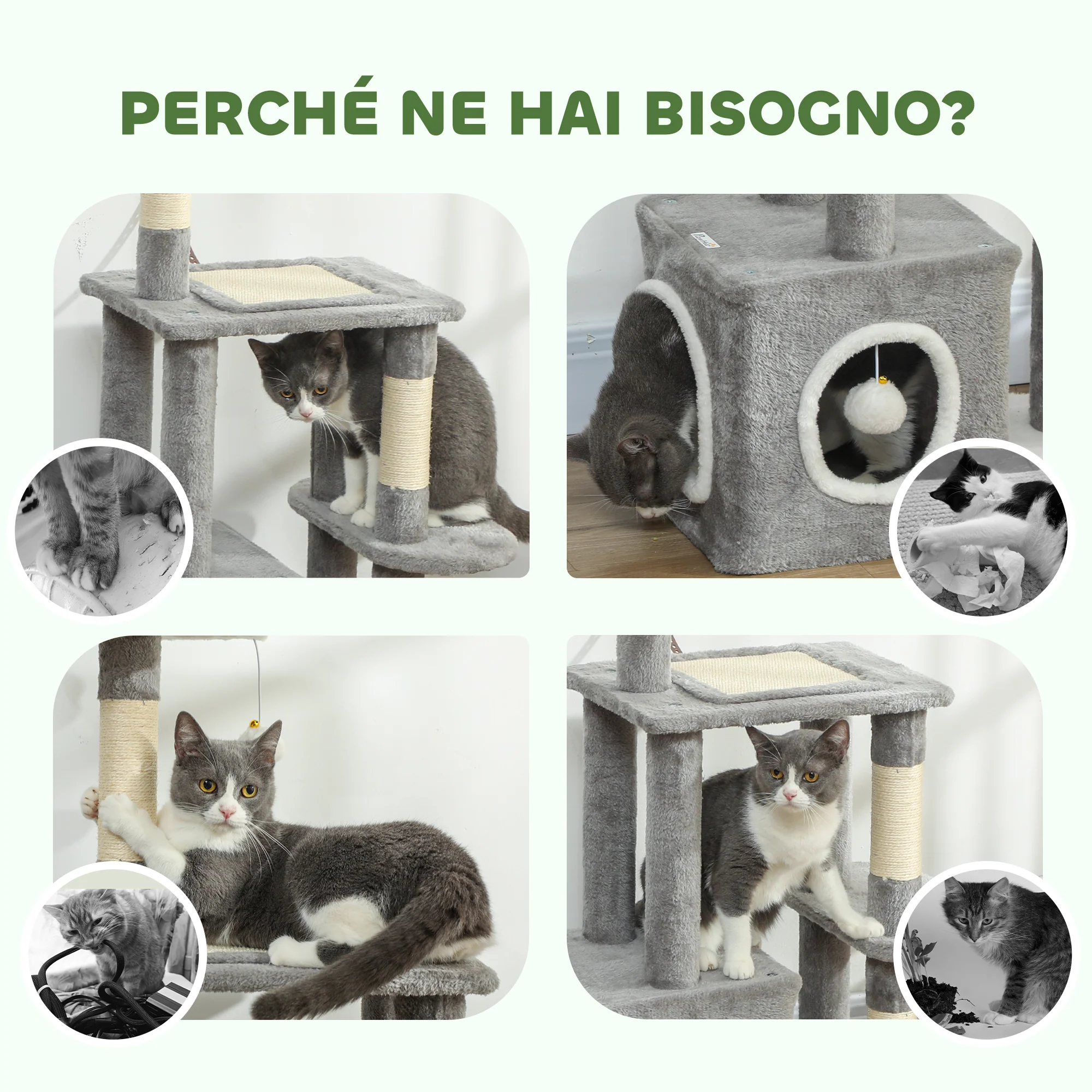 Immagine prodotto 7