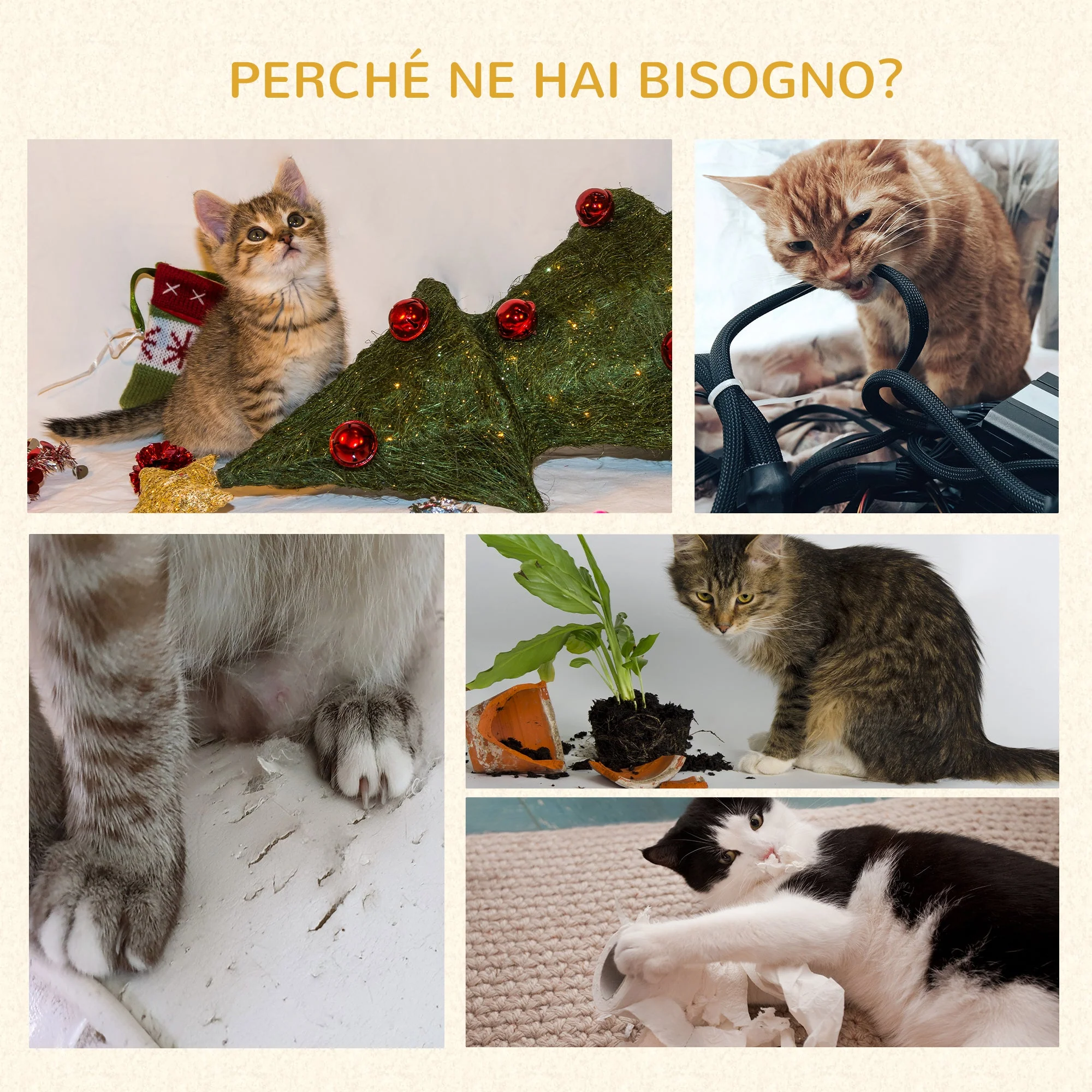 Immagine prodotto 6