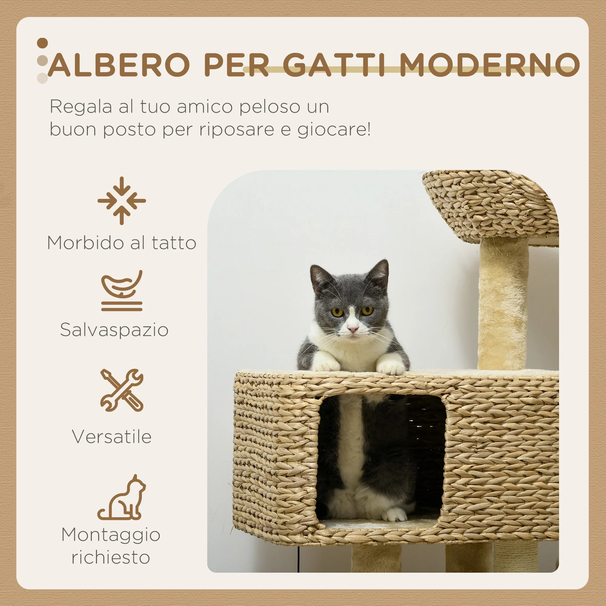 Immagine prodotto 4
