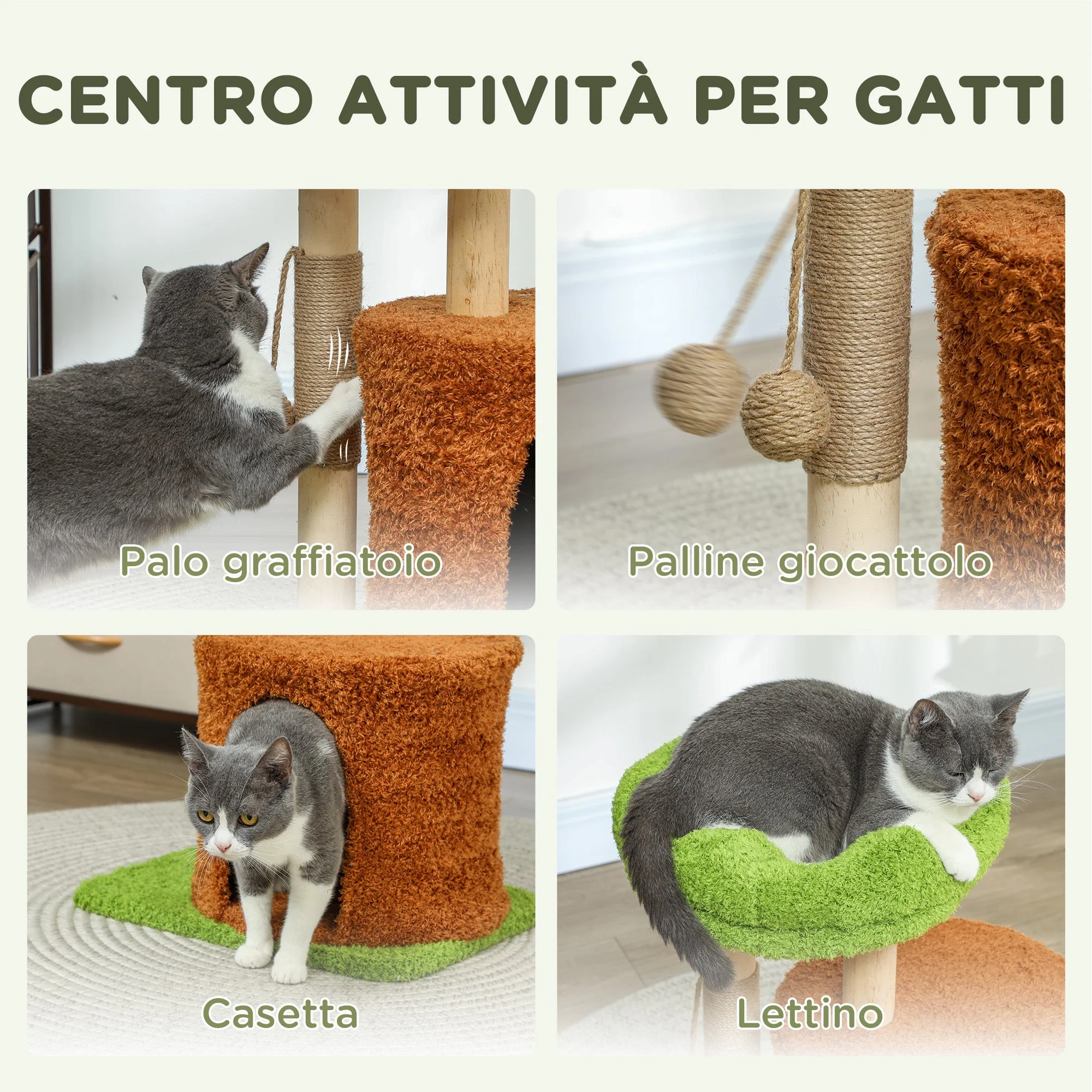Immagine prodotto 5