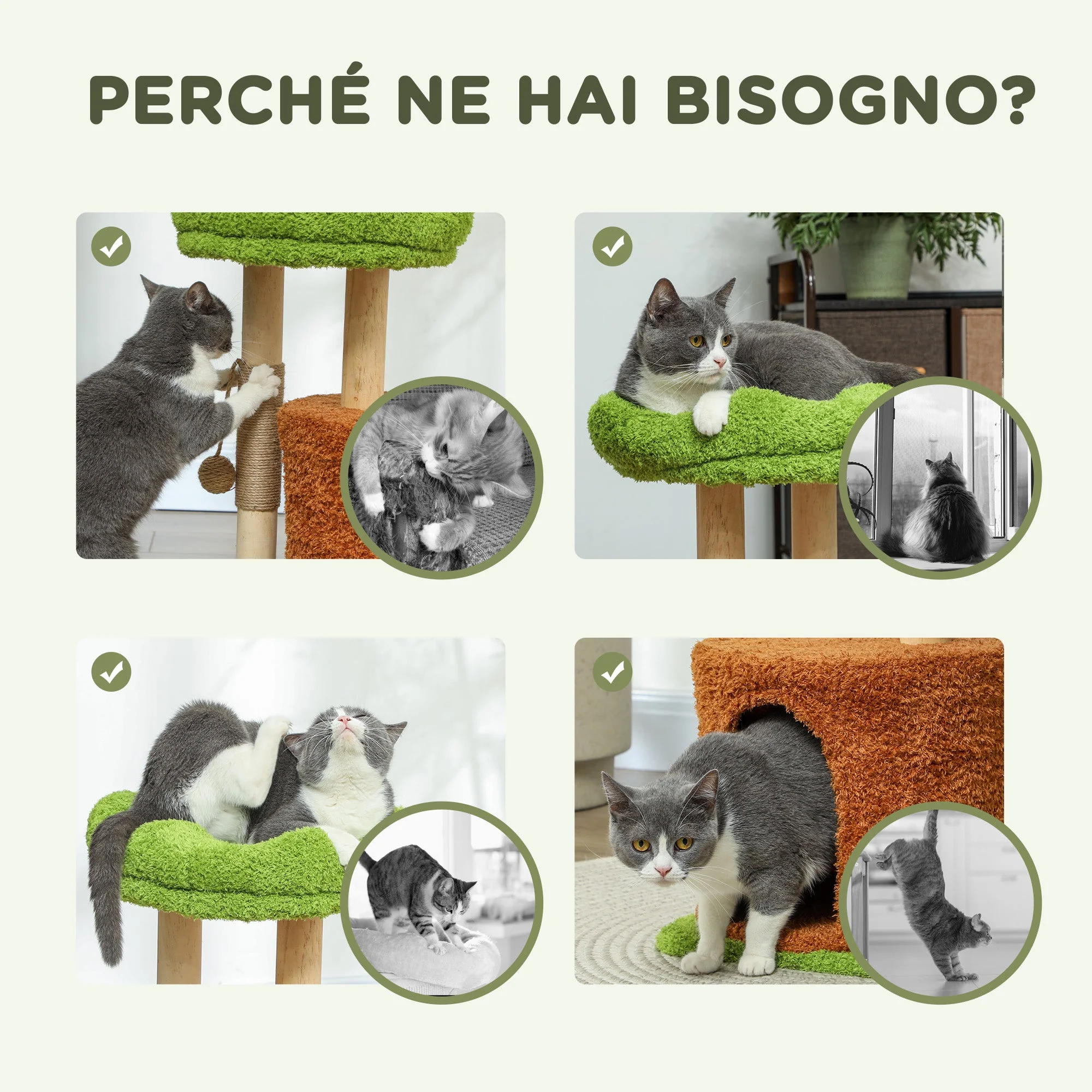 Immagine prodotto 6
