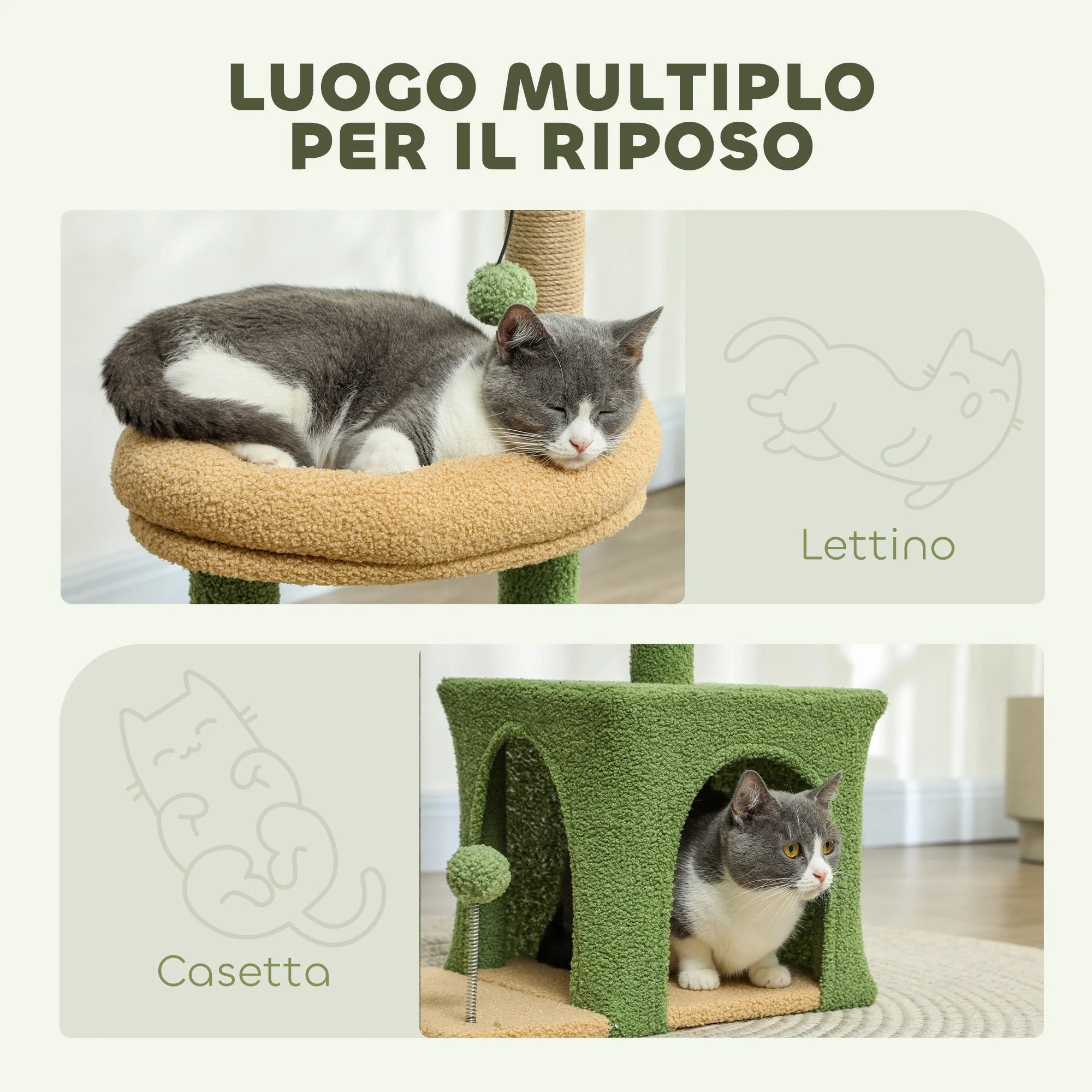 Immagine prodotto 4