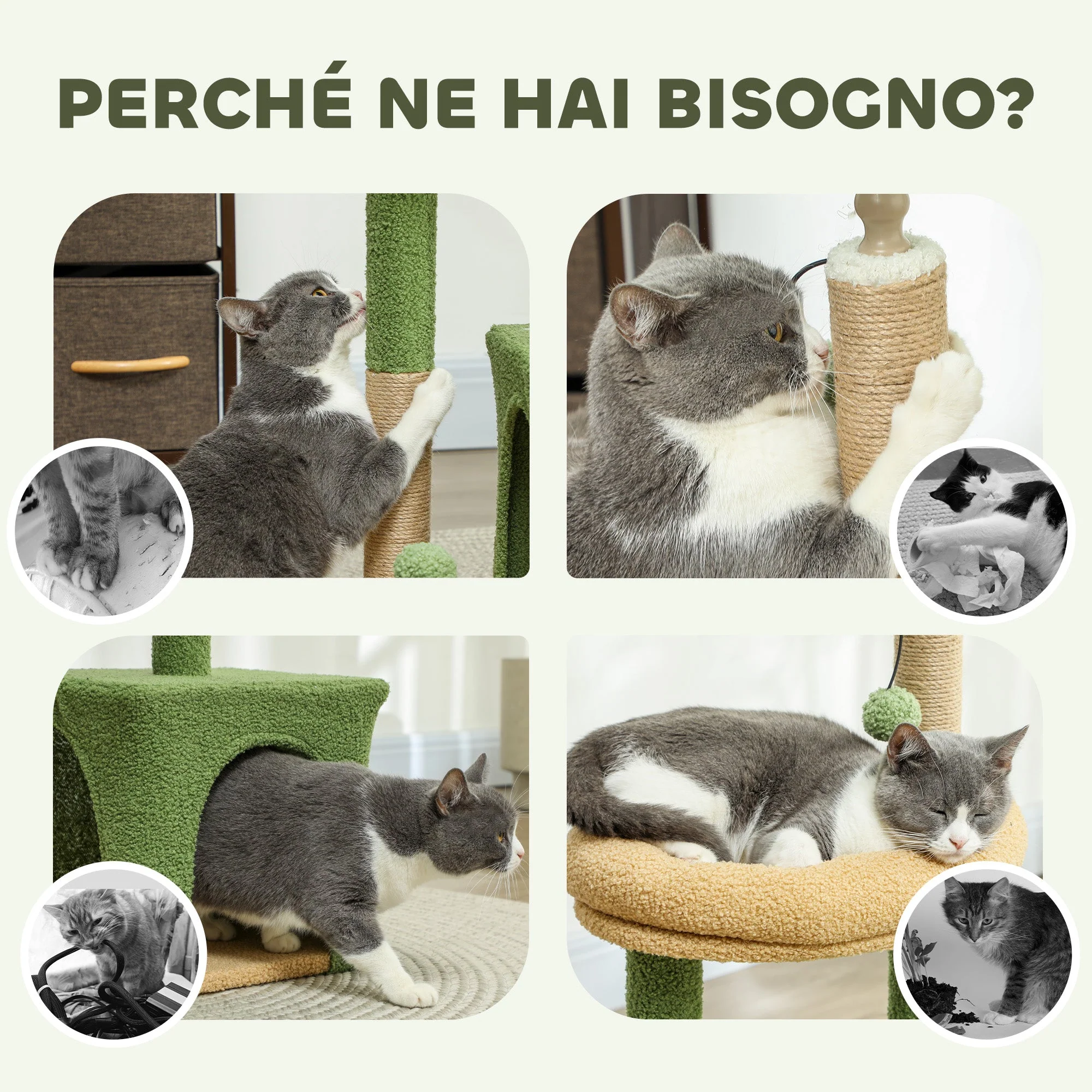 Immagine prodotto 6