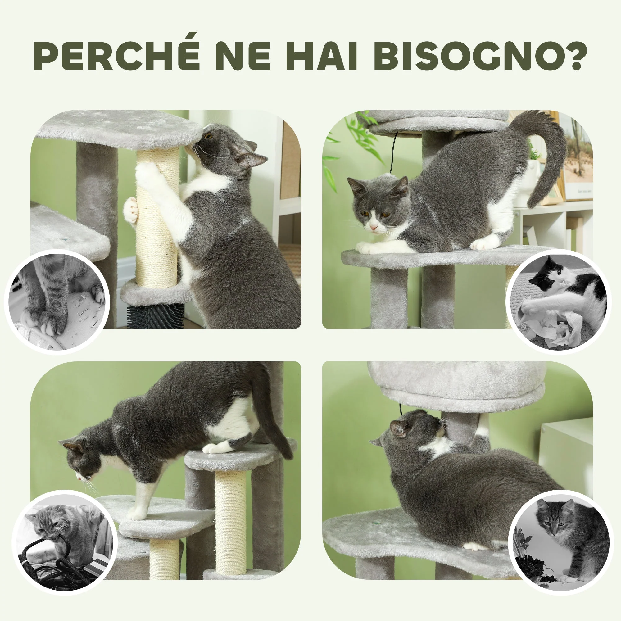 Immagine prodotto 6