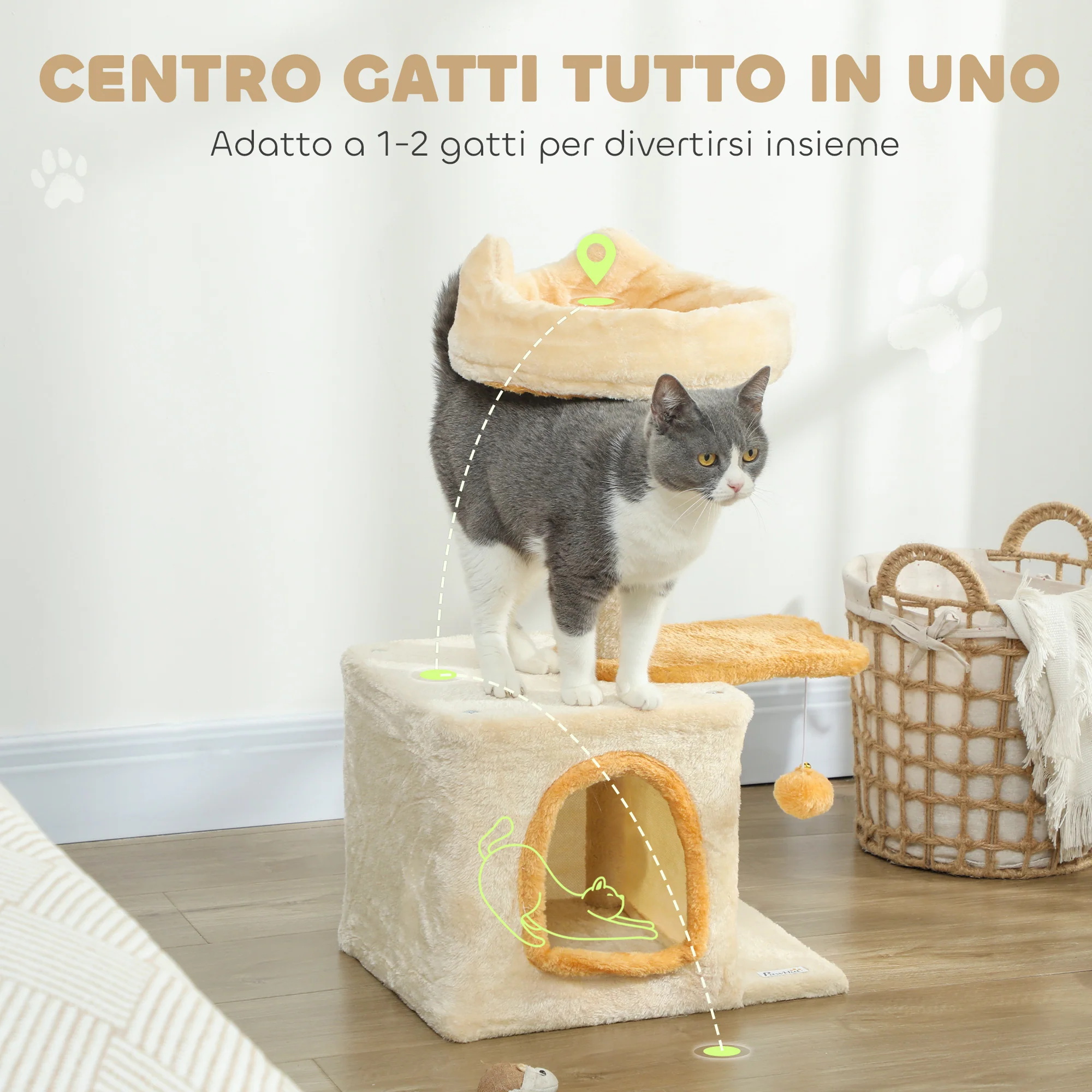 Immagine prodotto 4