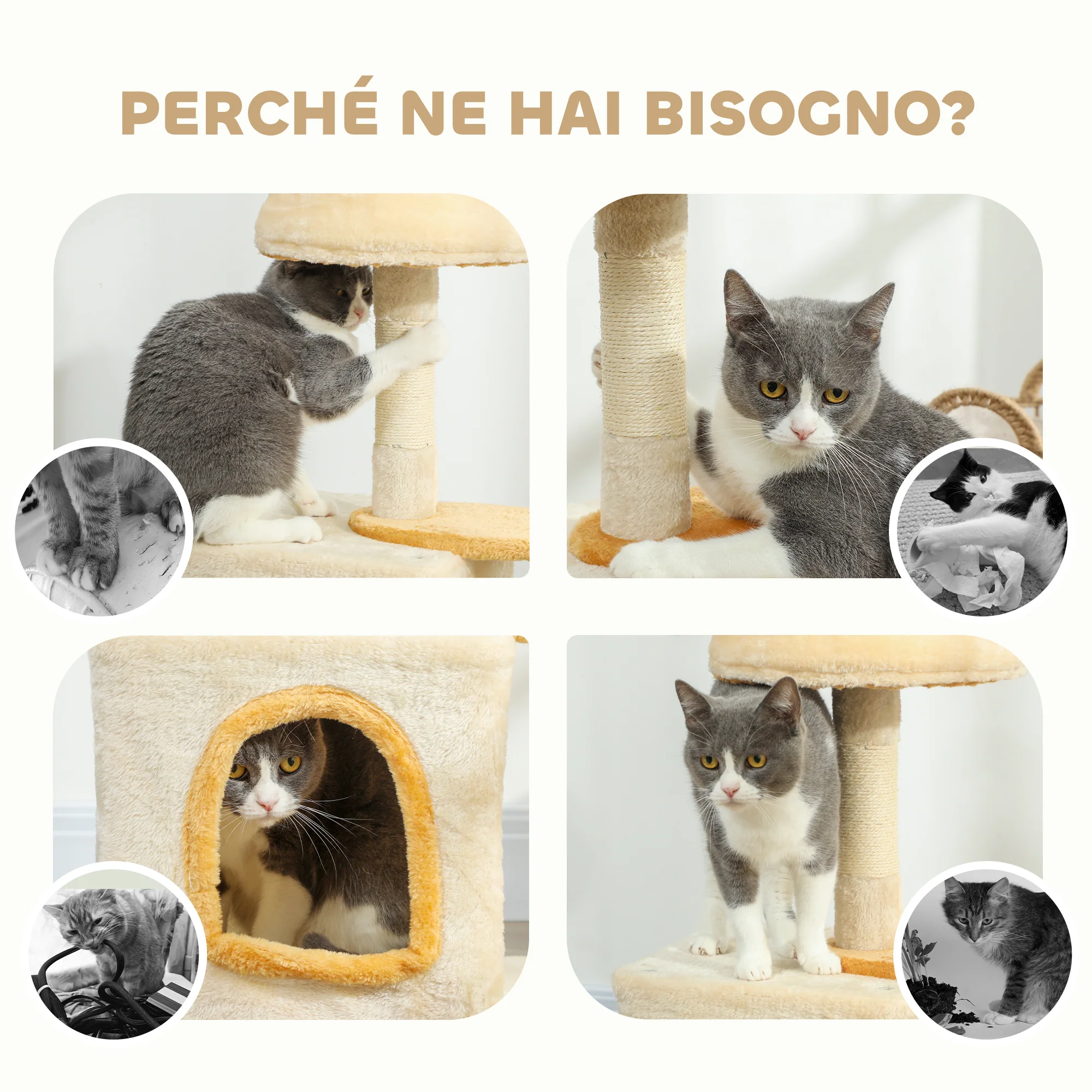 Immagine prodotto 7