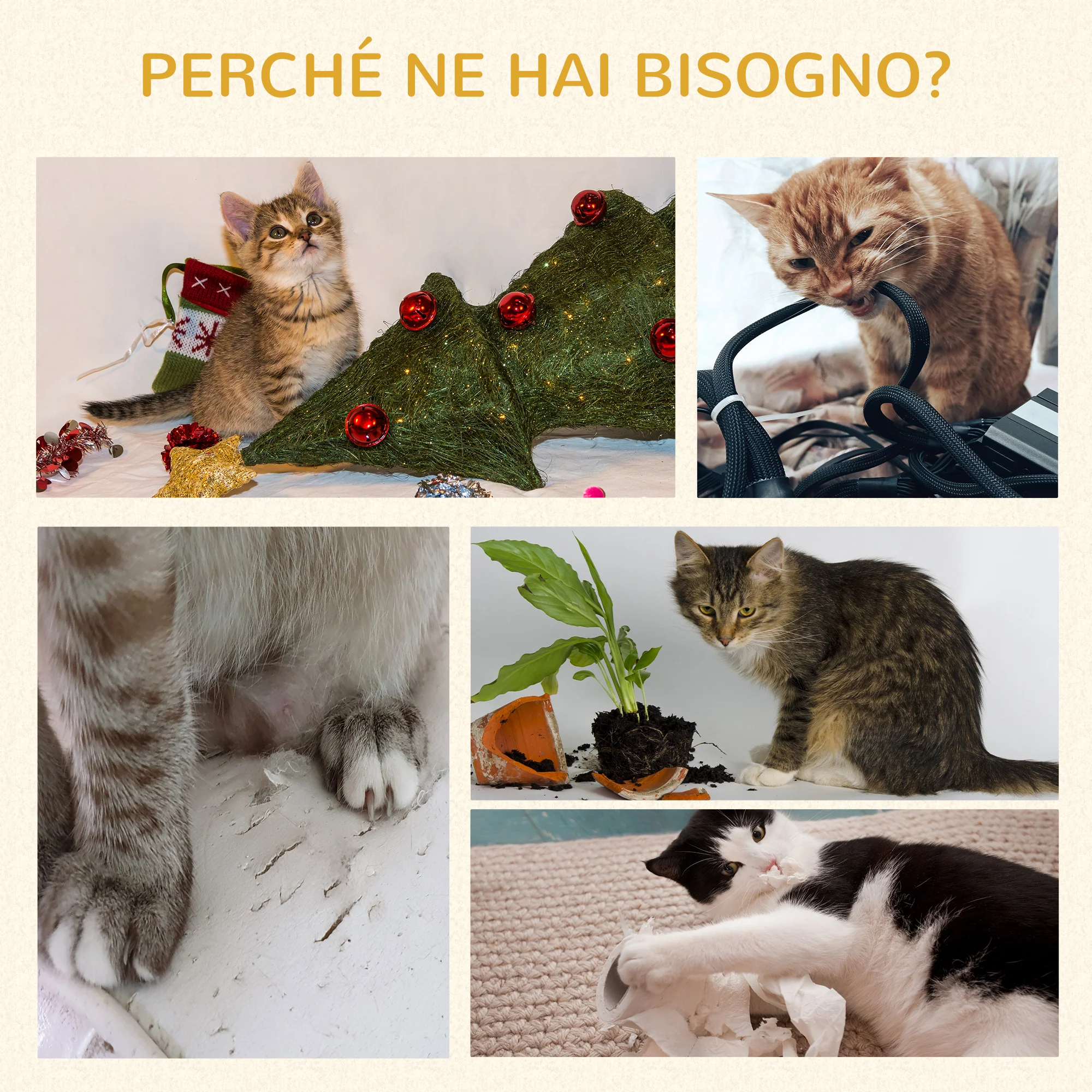 Immagine prodotto 6