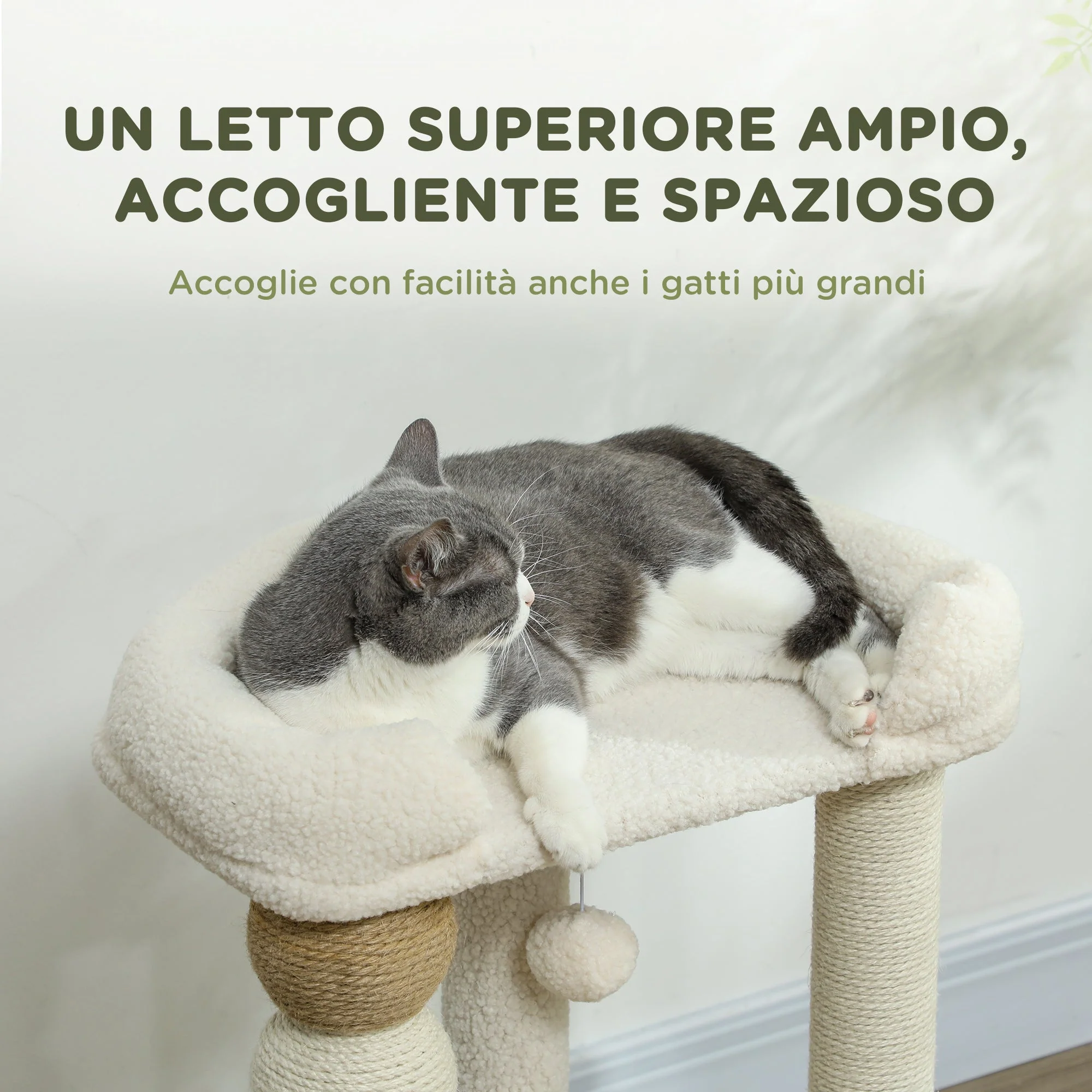 Immagine prodotto 4