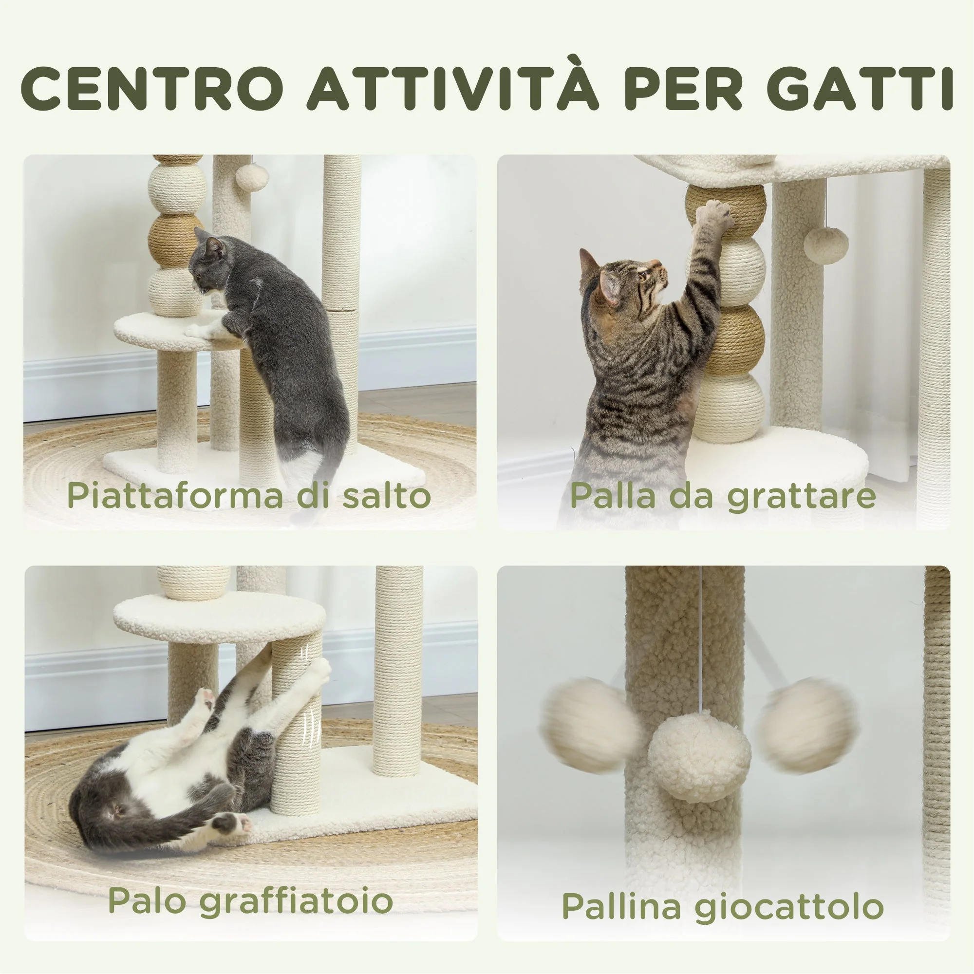 Immagine prodotto 5