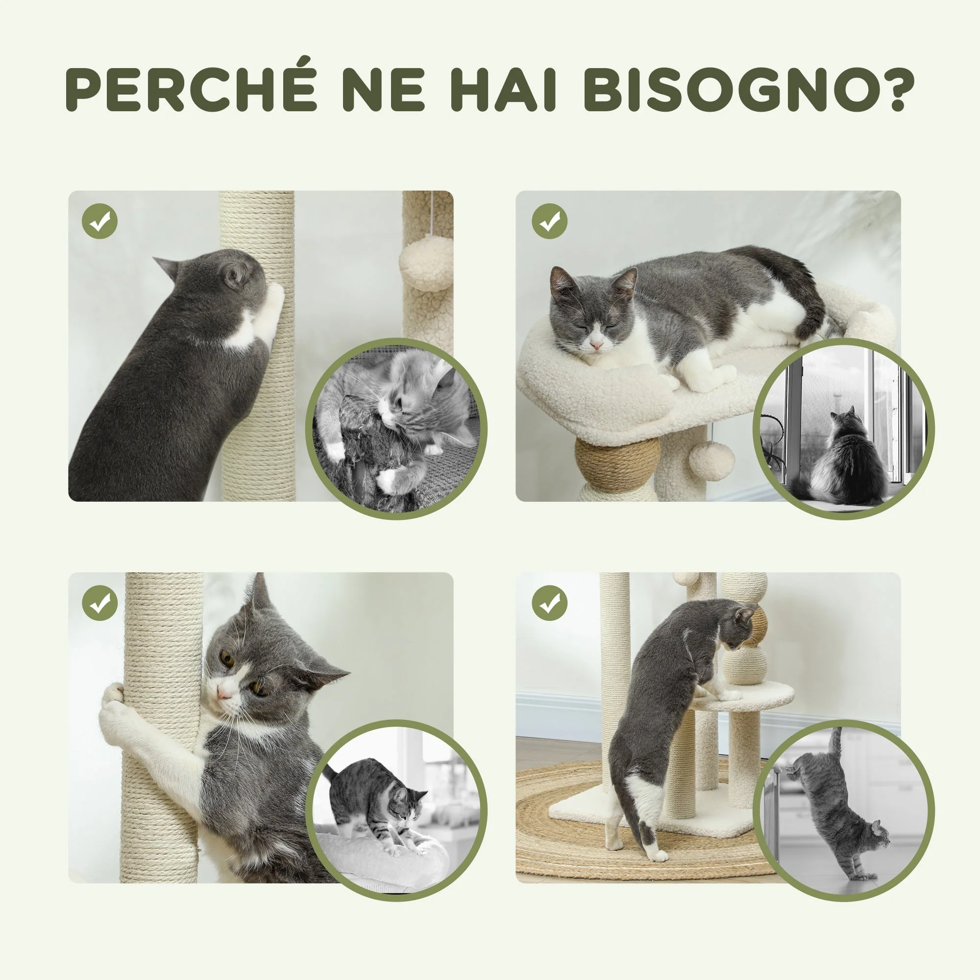 Immagine prodotto 6