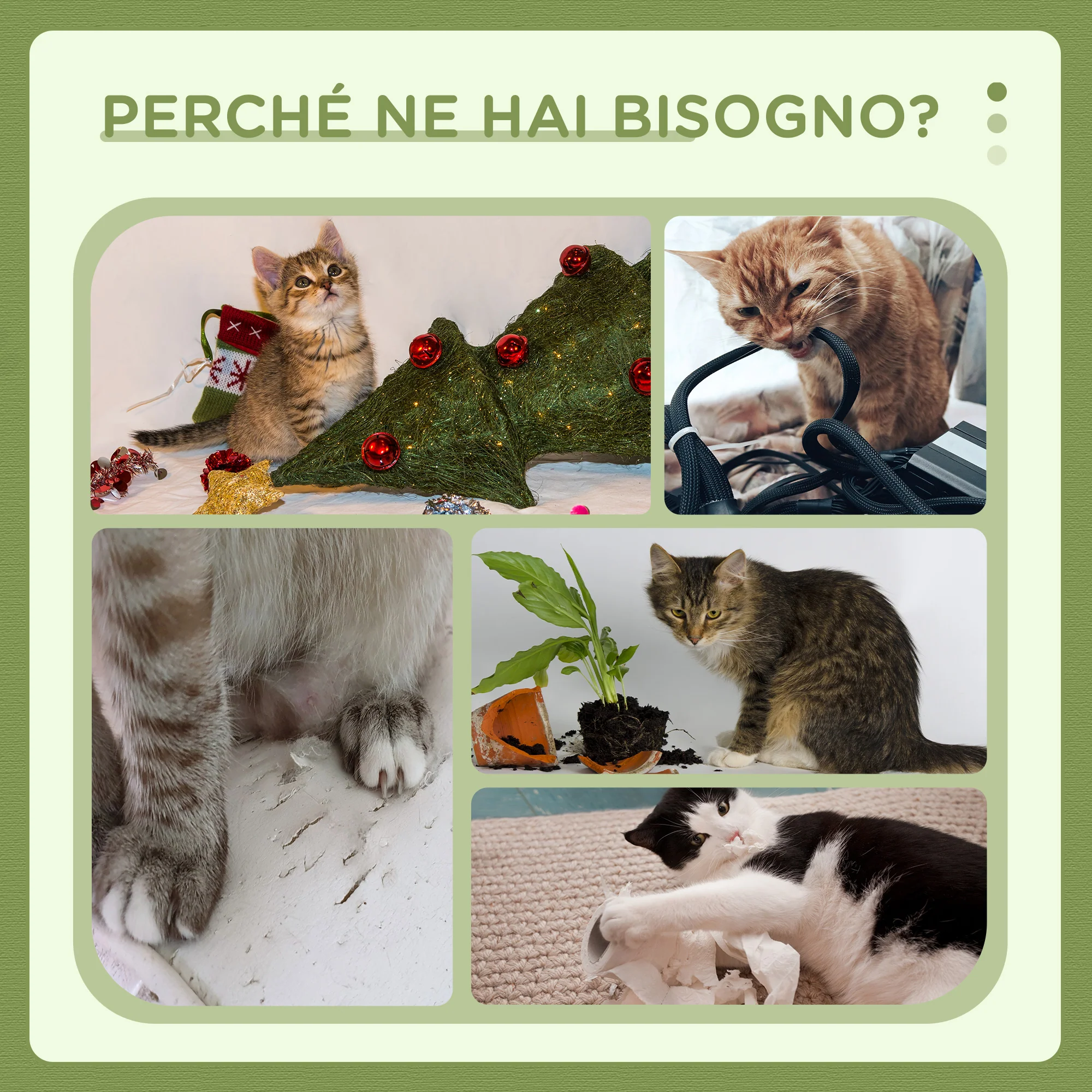 Immagine prodotto 6