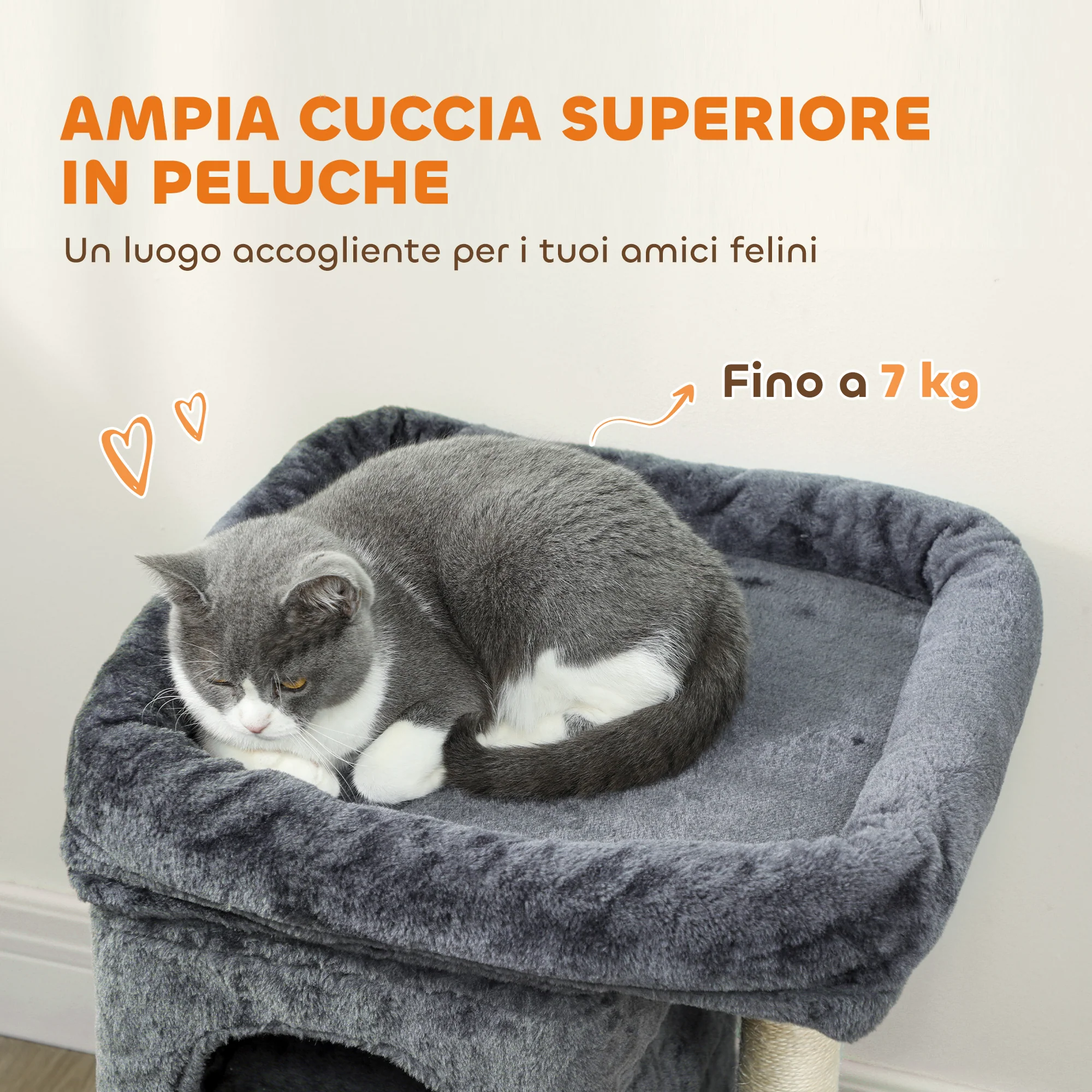 Immagine prodotto 4