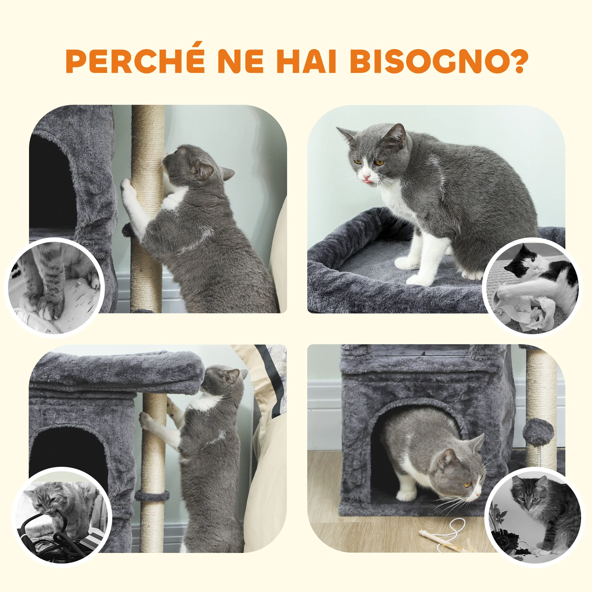 Immagine prodotto 7