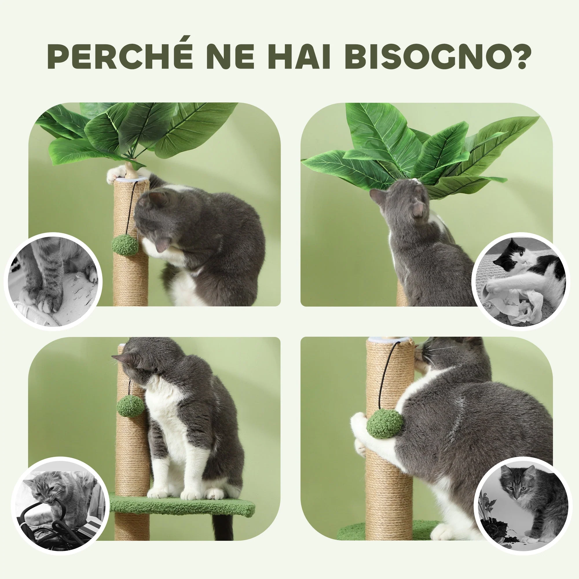 Immagine prodotto 6