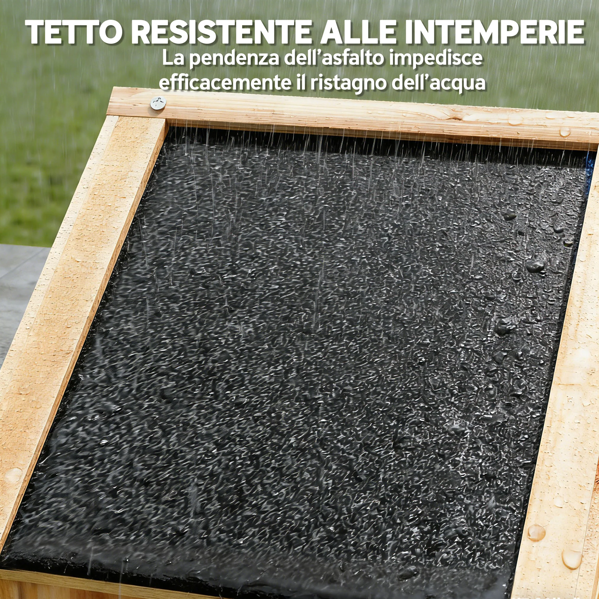 Immagine prodotto 5