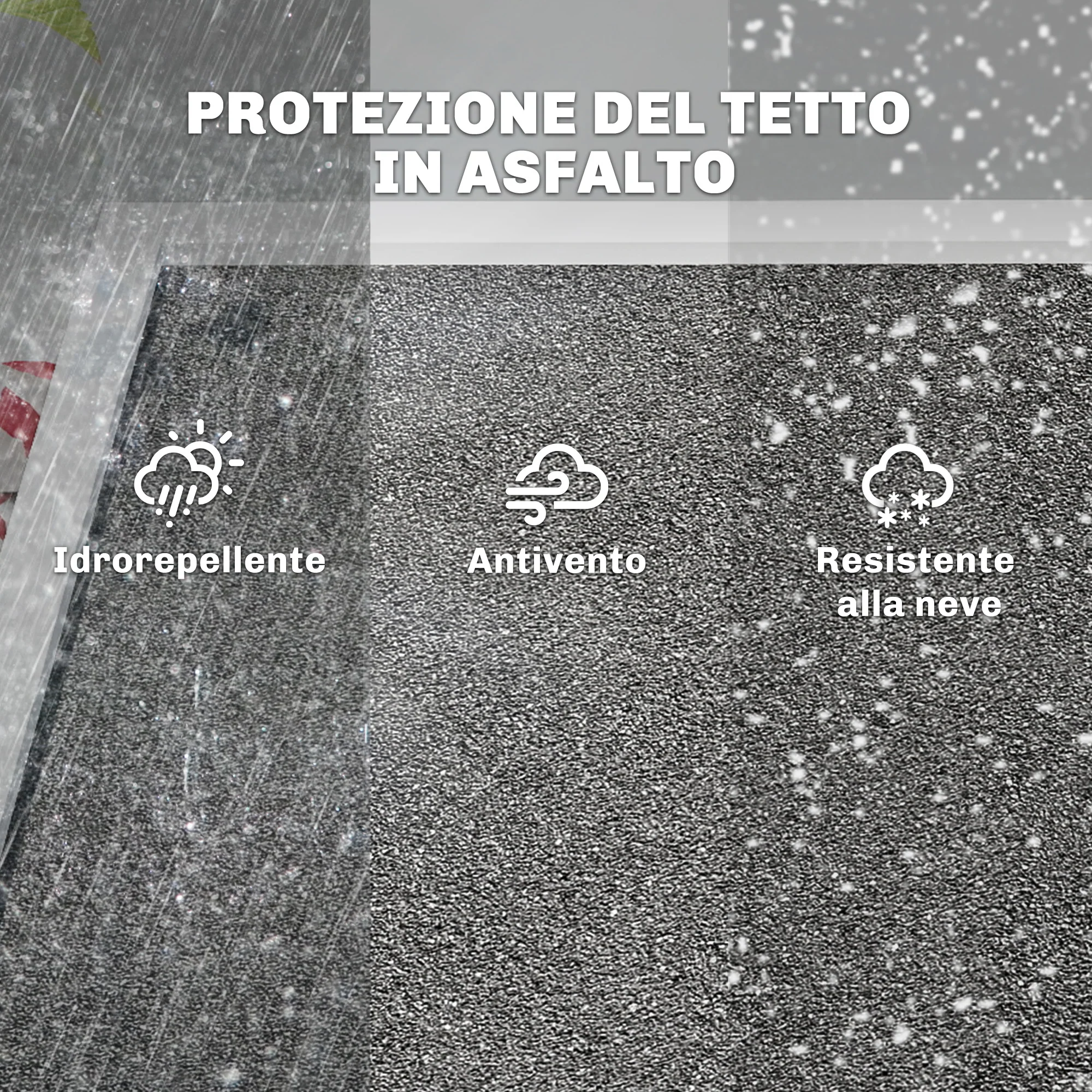 Immagine prodotto 6