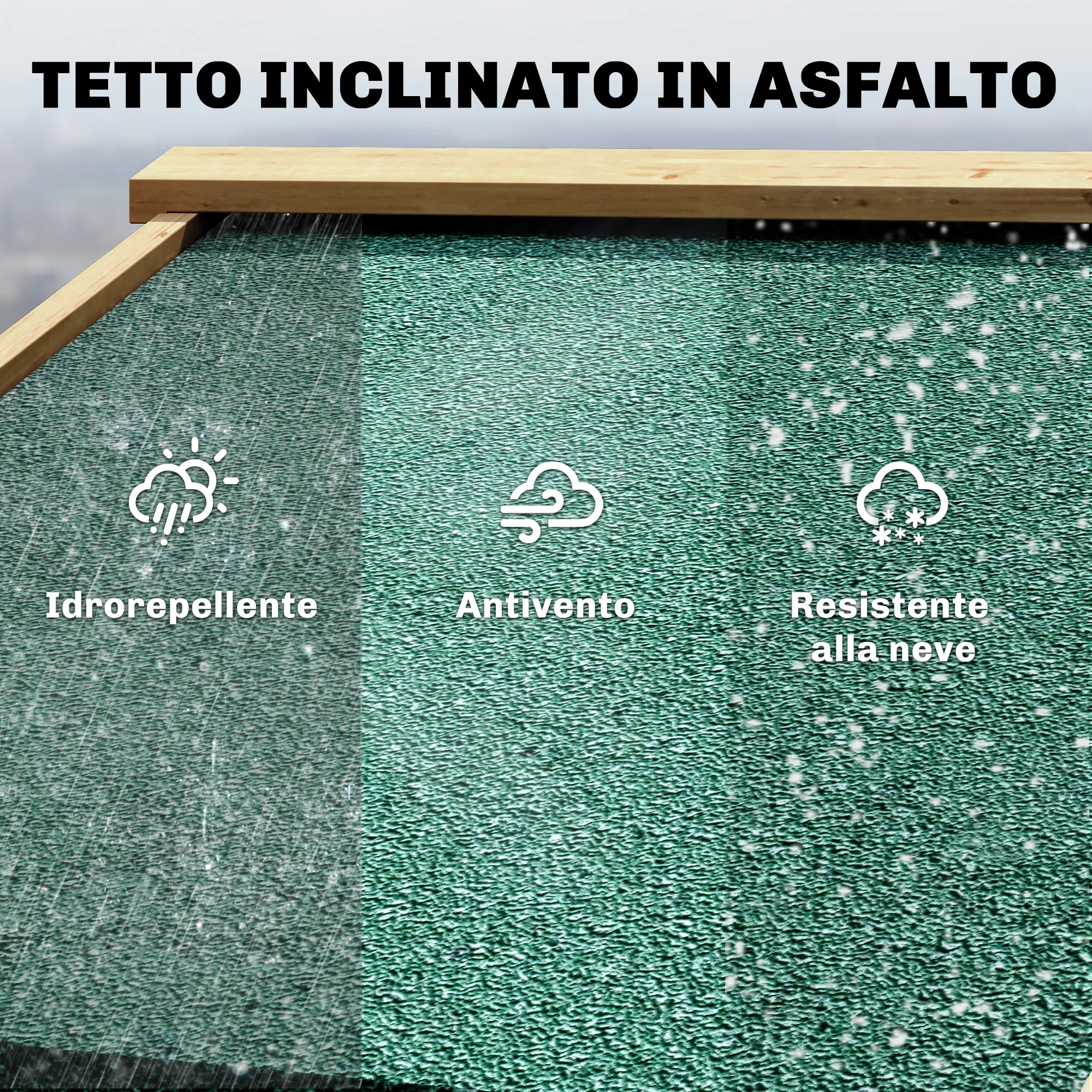 Immagine prodotto 6