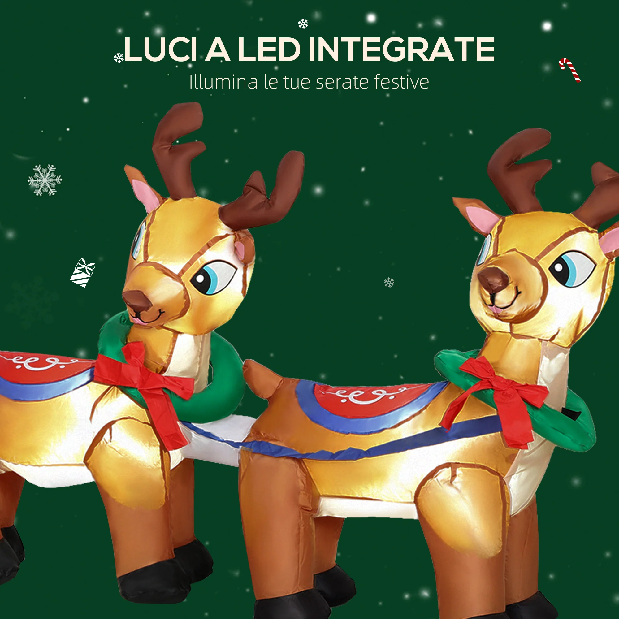 Immagine prodotto 4