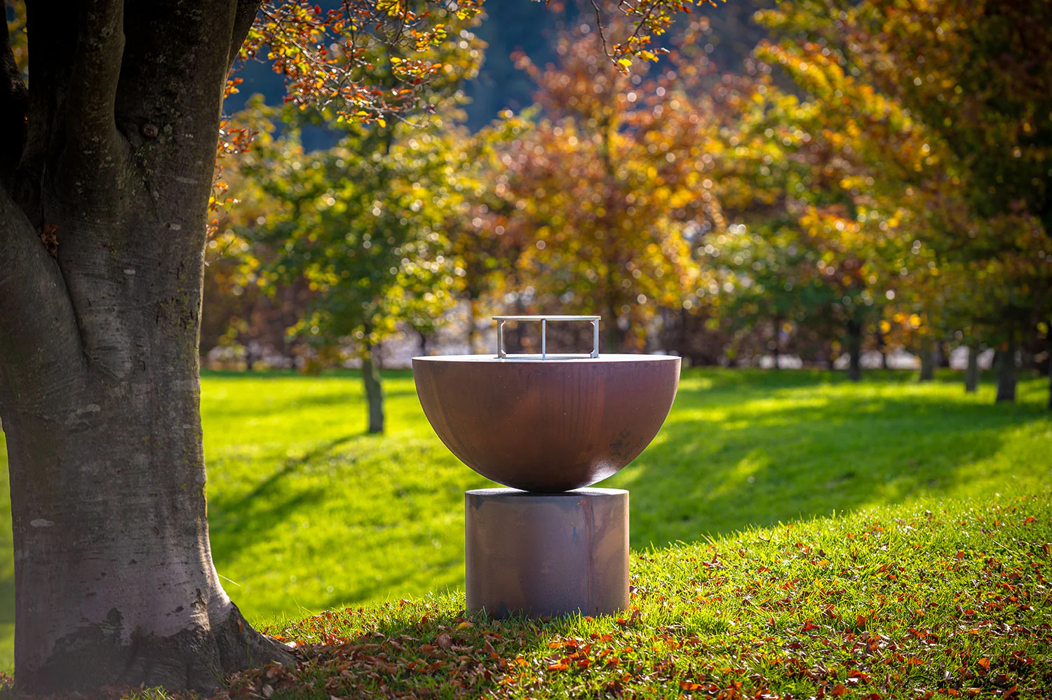 Immagine prodotto 9