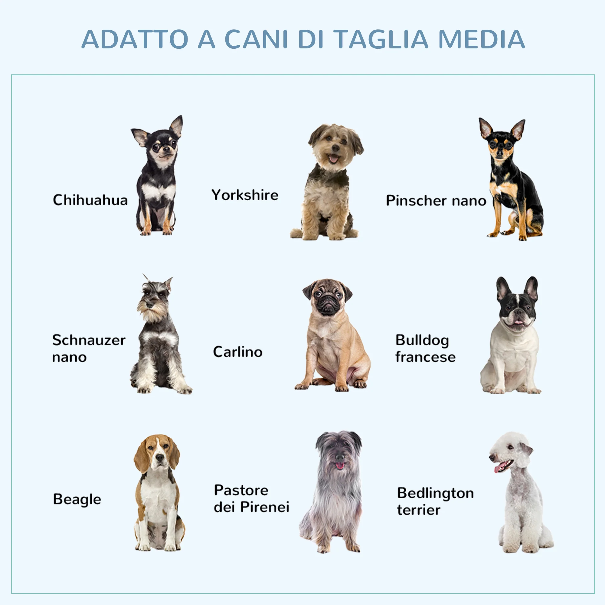 Immagine prodotto 8