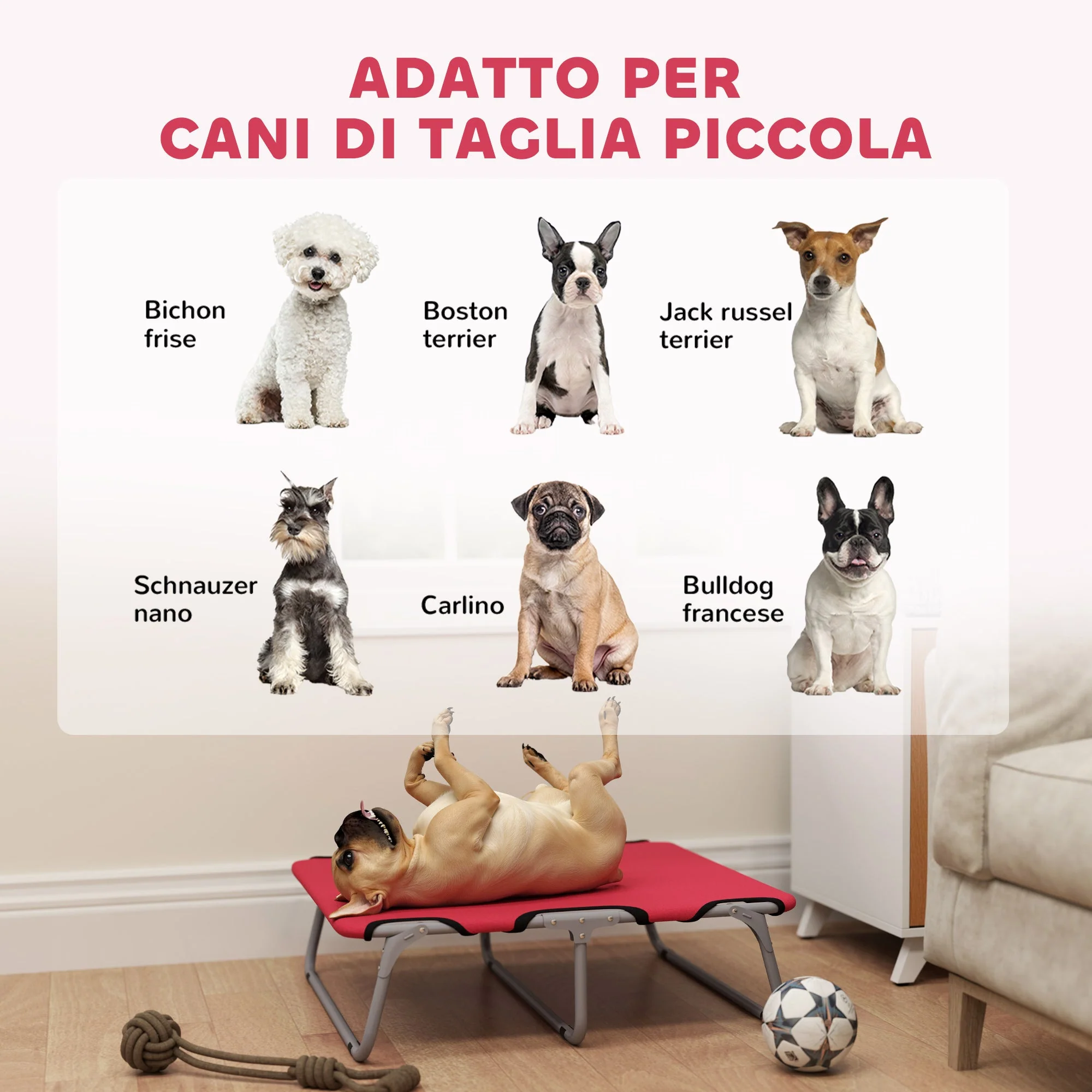 Immagine prodotto 4