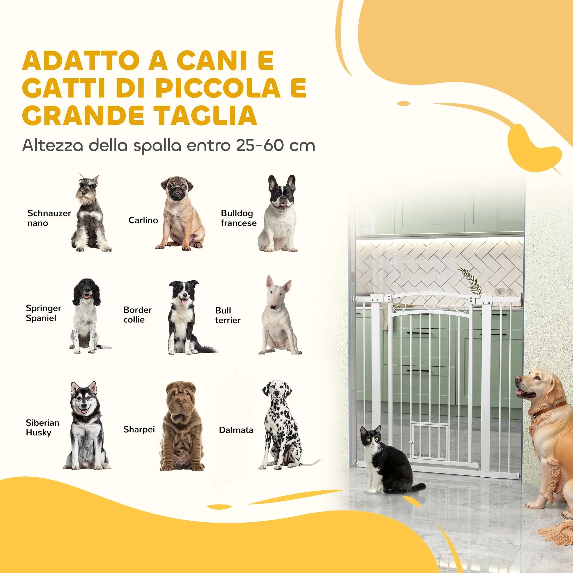 Immagine prodotto 9