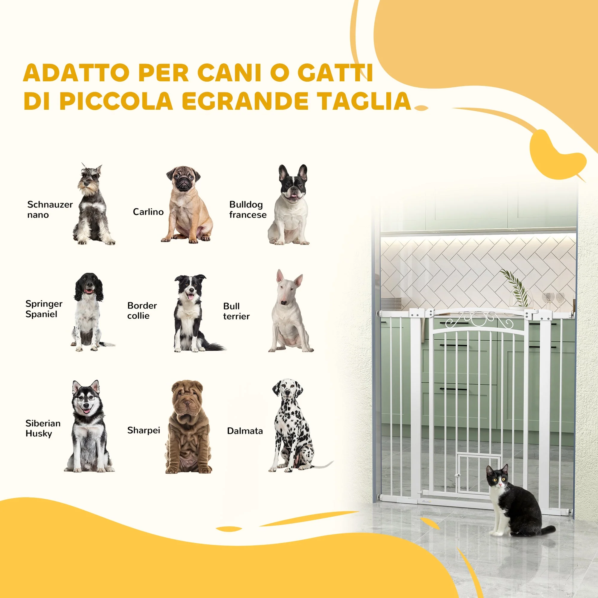 Immagine prodotto 4