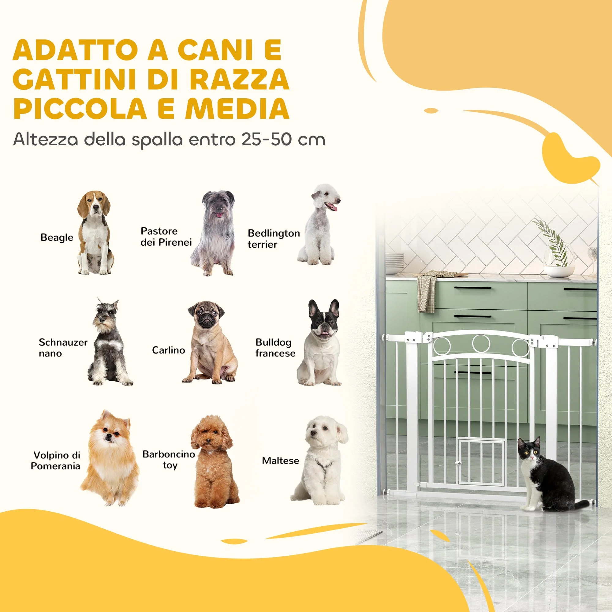 Immagine prodotto 9