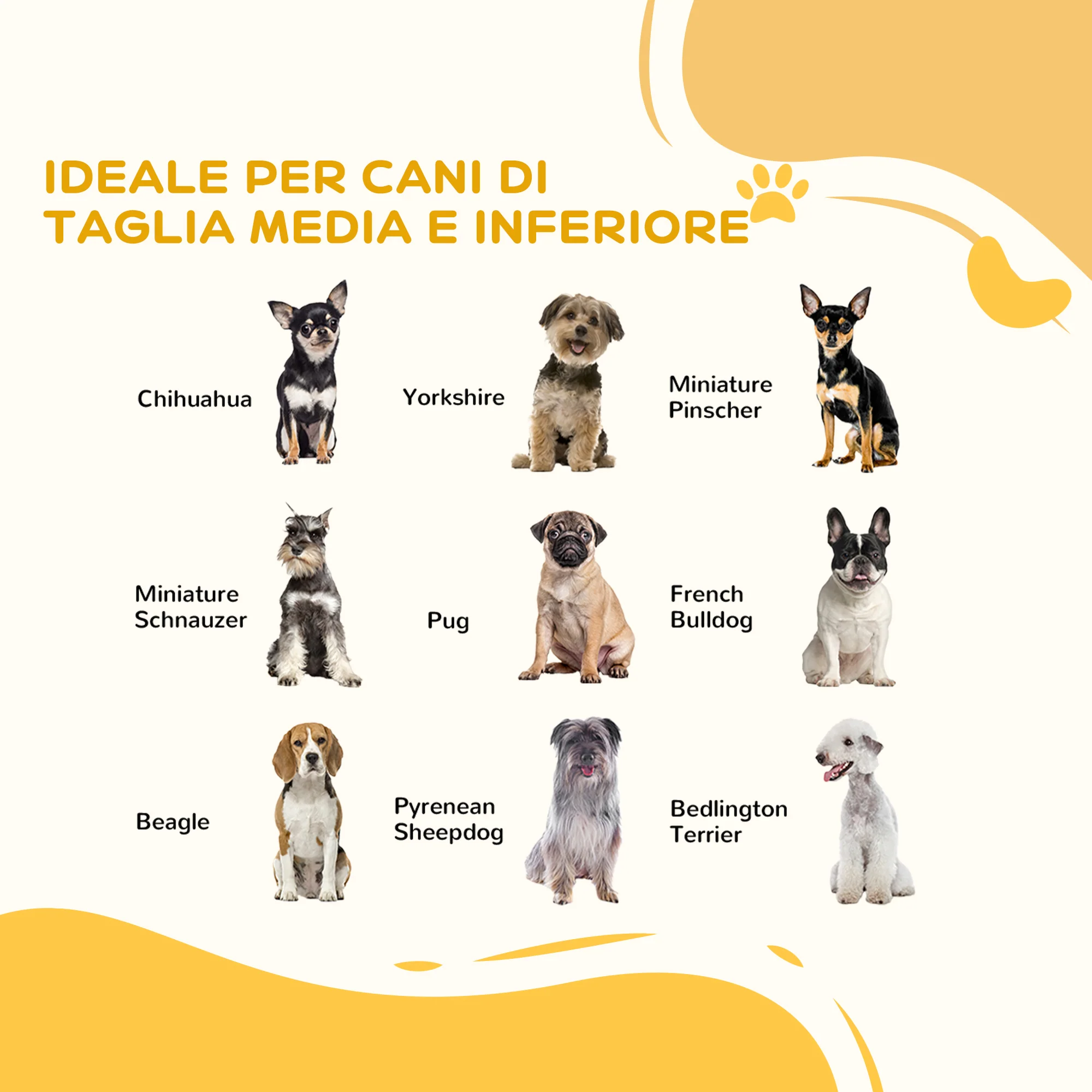 Immagine prodotto 4