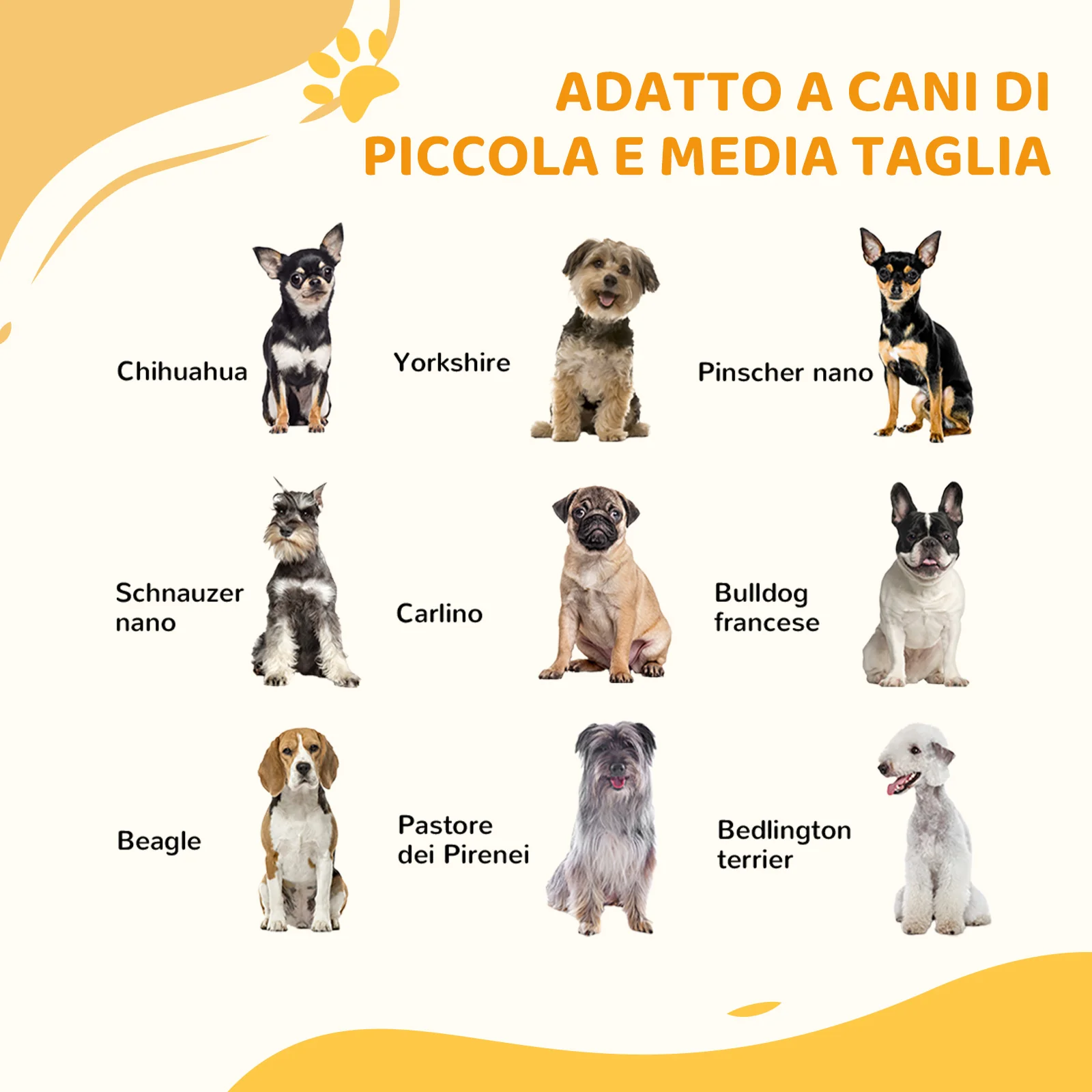 Immagine prodotto 4