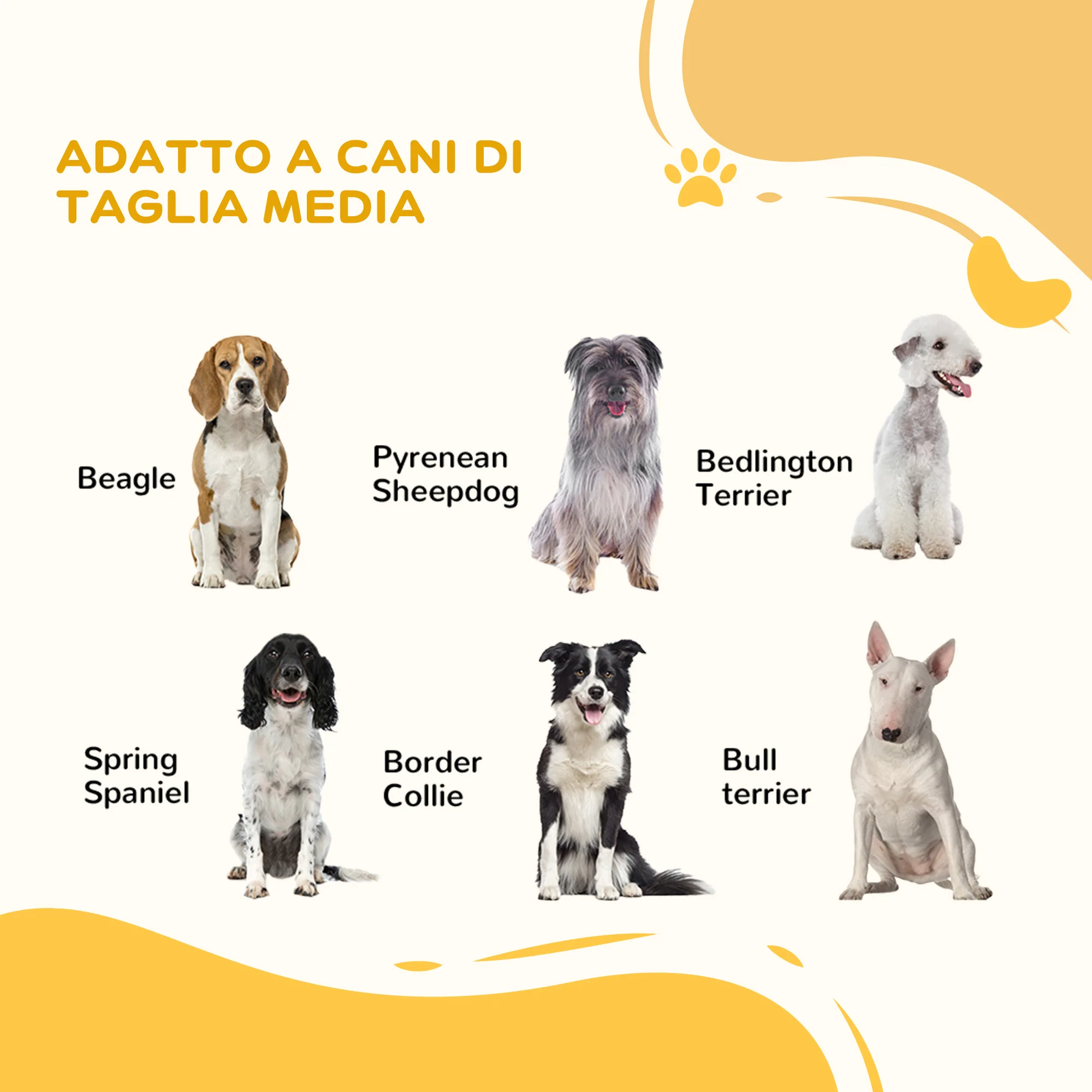 Immagine prodotto 7