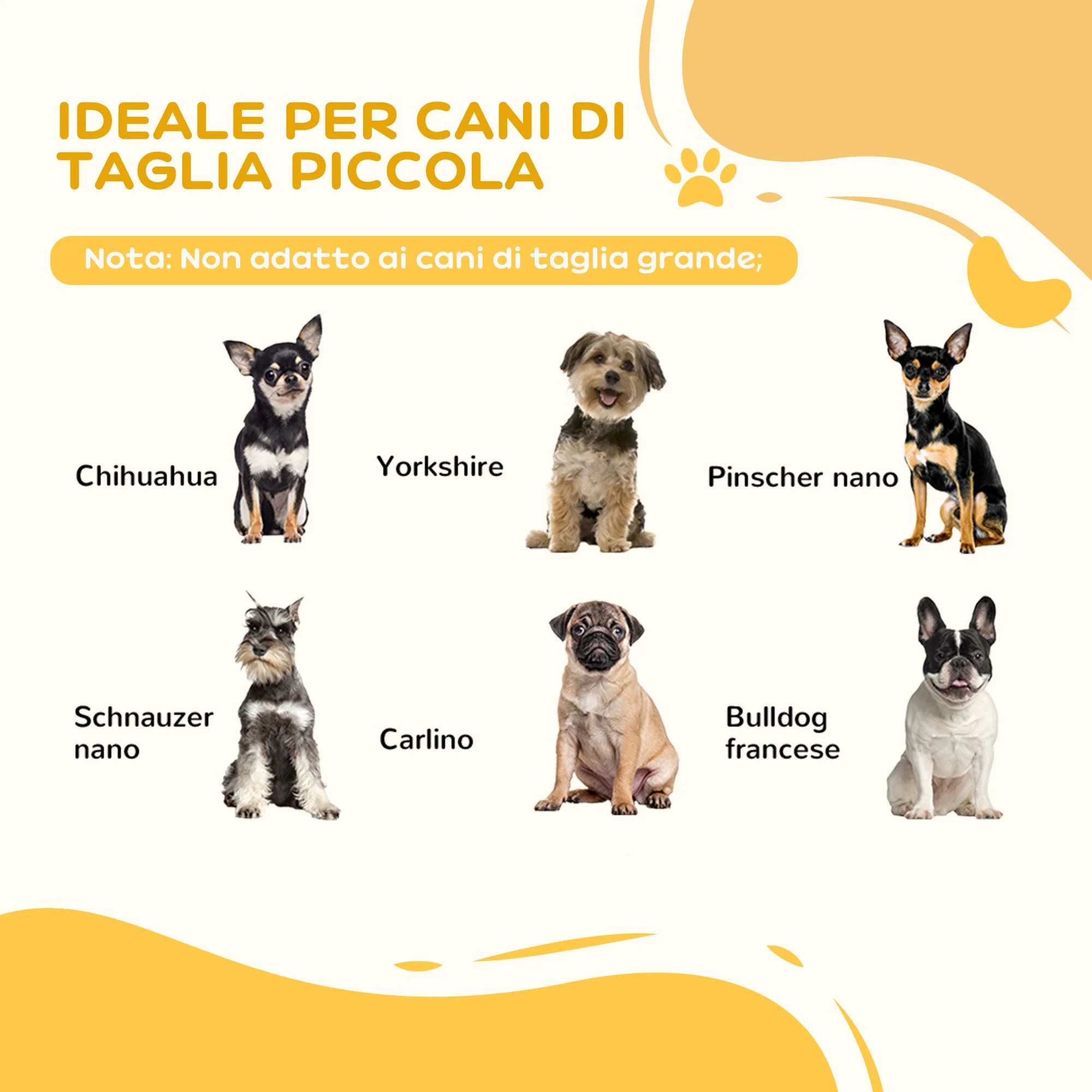 Immagine prodotto 4