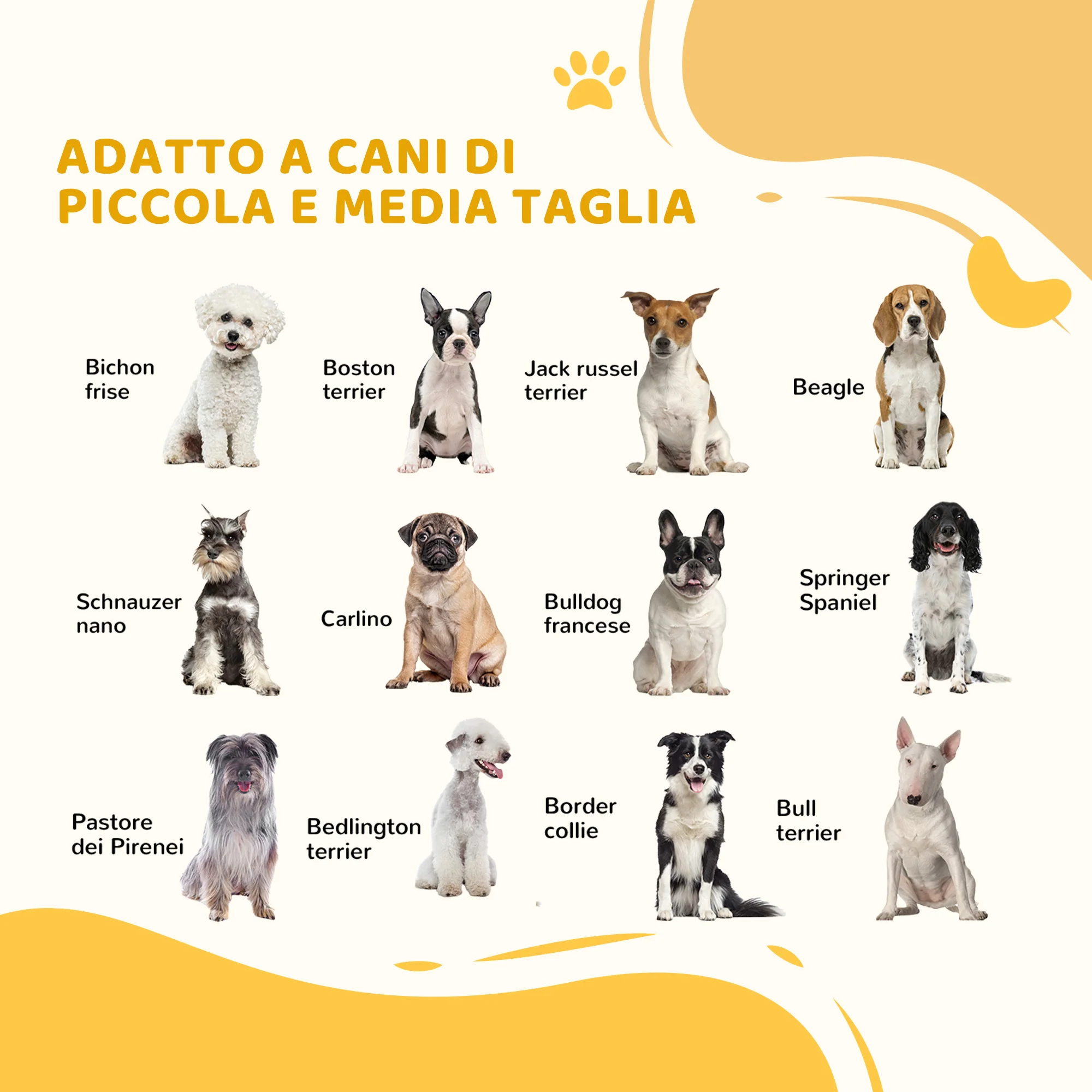 Immagine prodotto 4