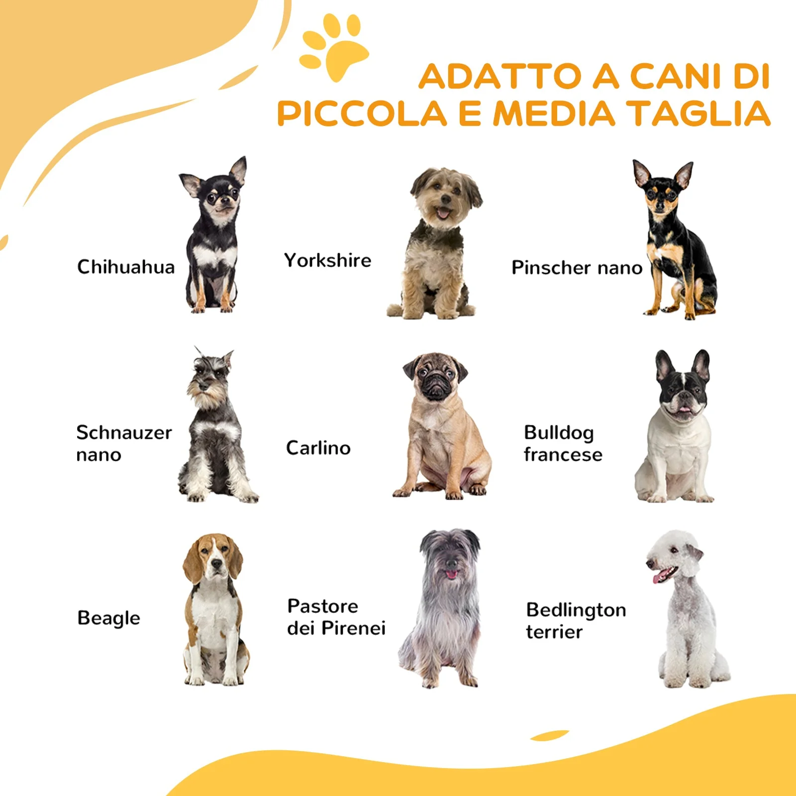 Immagine prodotto 4