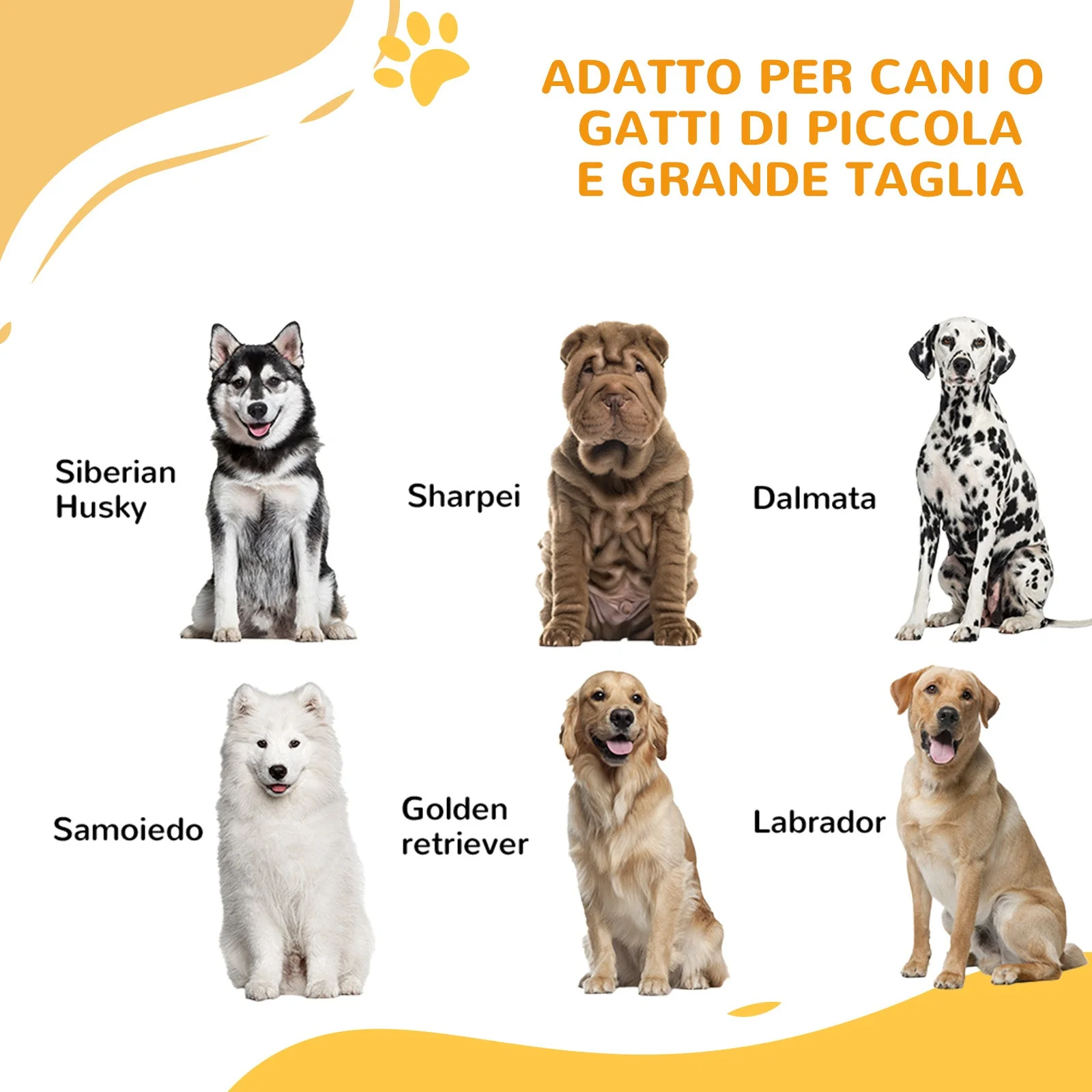 Immagine prodotto 4