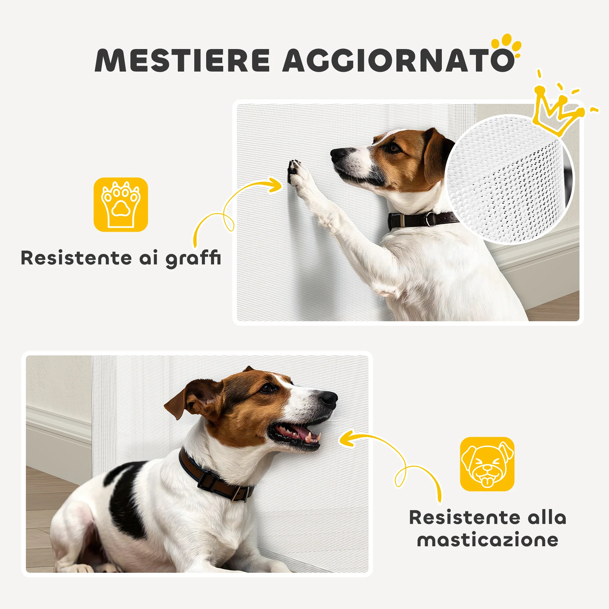 Immagine prodotto 5