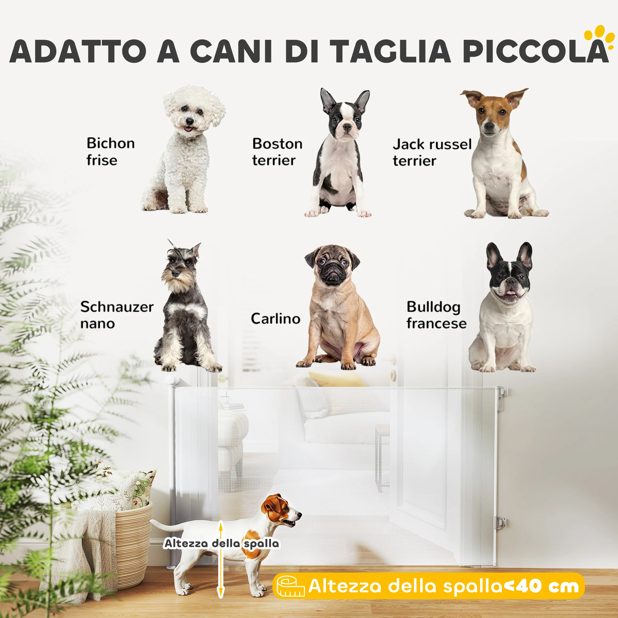 Immagine prodotto 9