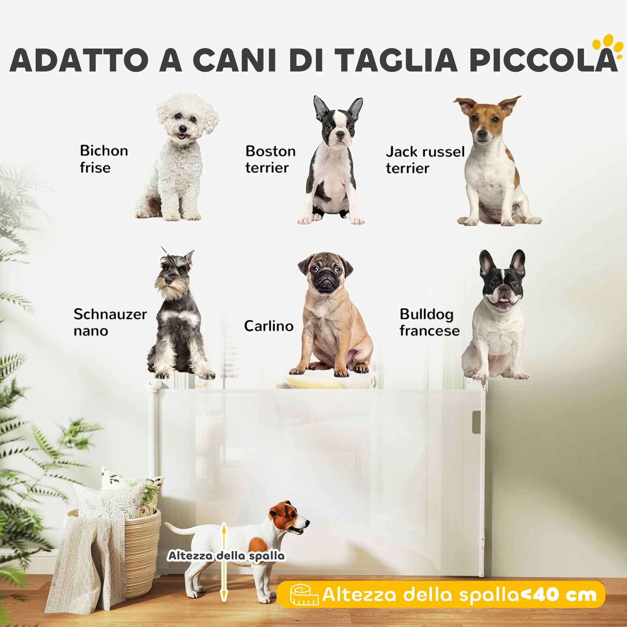 Immagine prodotto 9