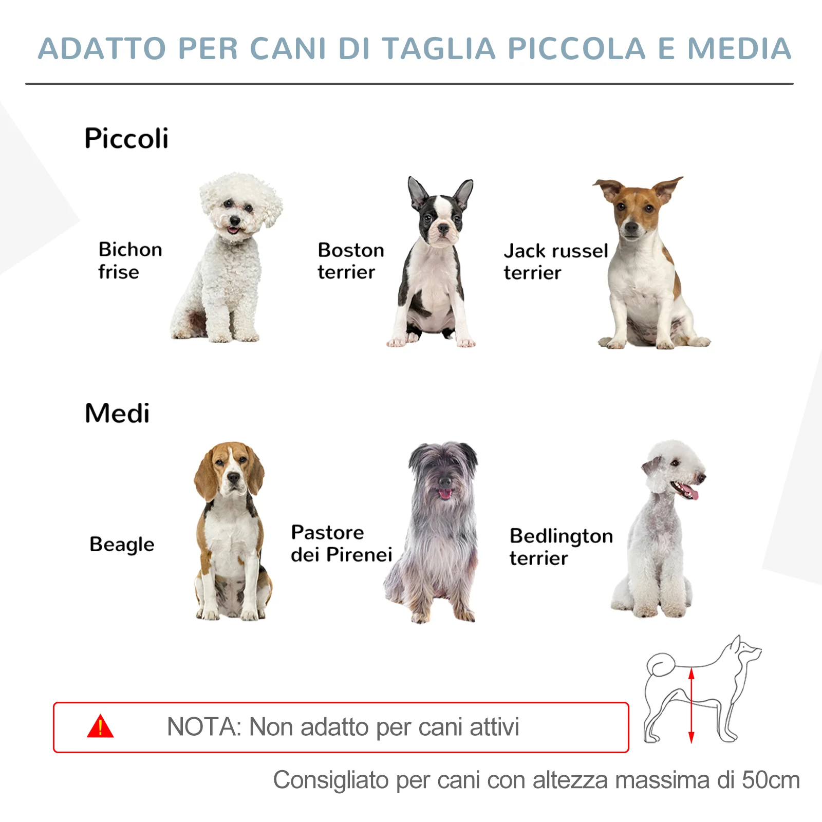 Immagine prodotto 8