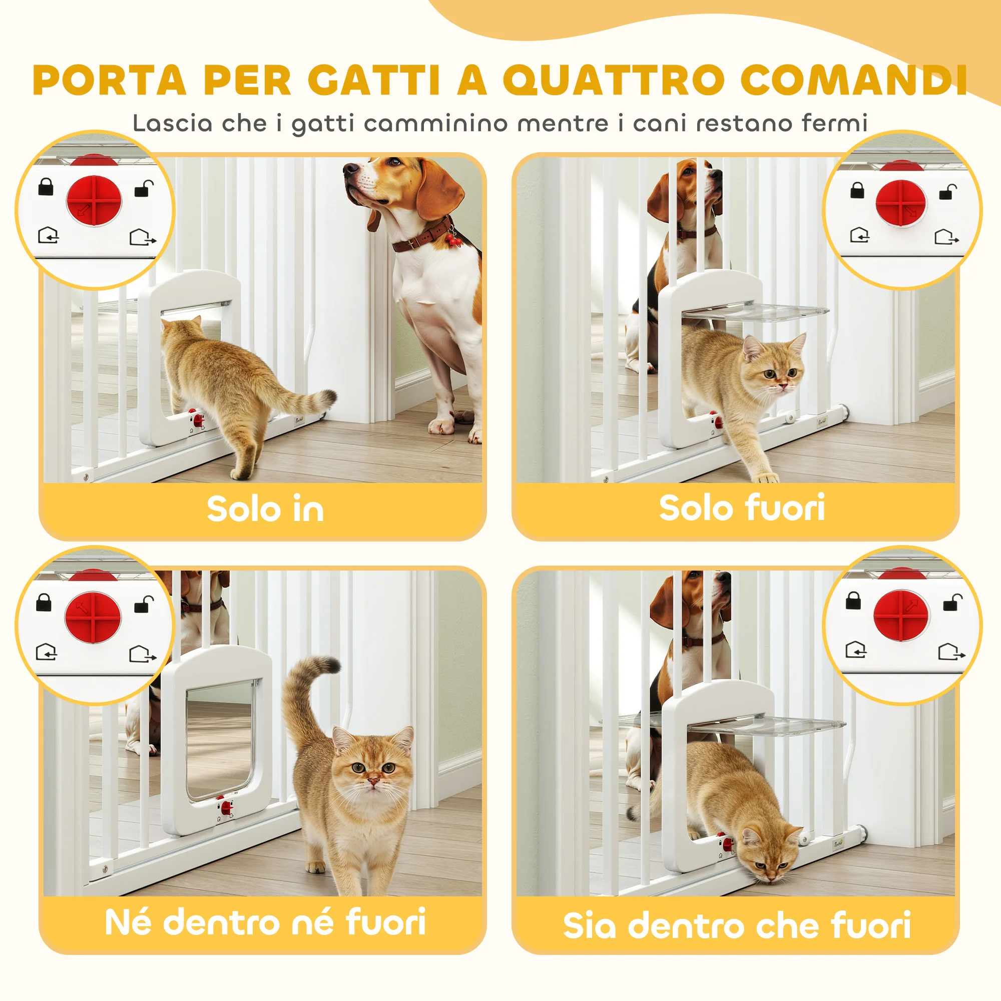 Immagine prodotto 5