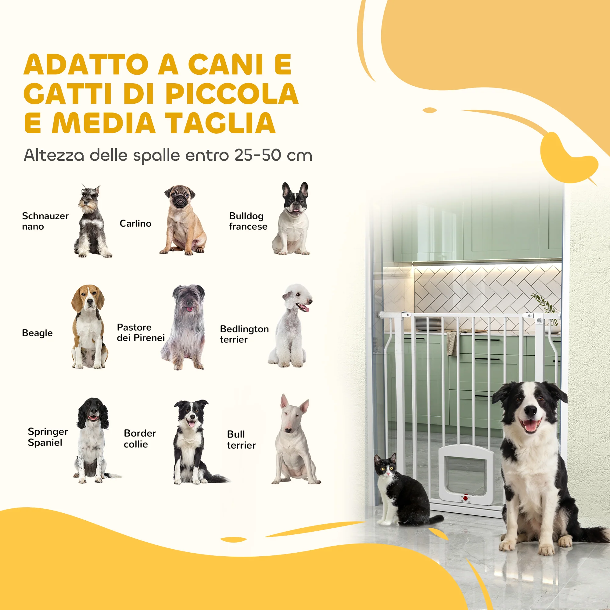 Immagine prodotto 9
