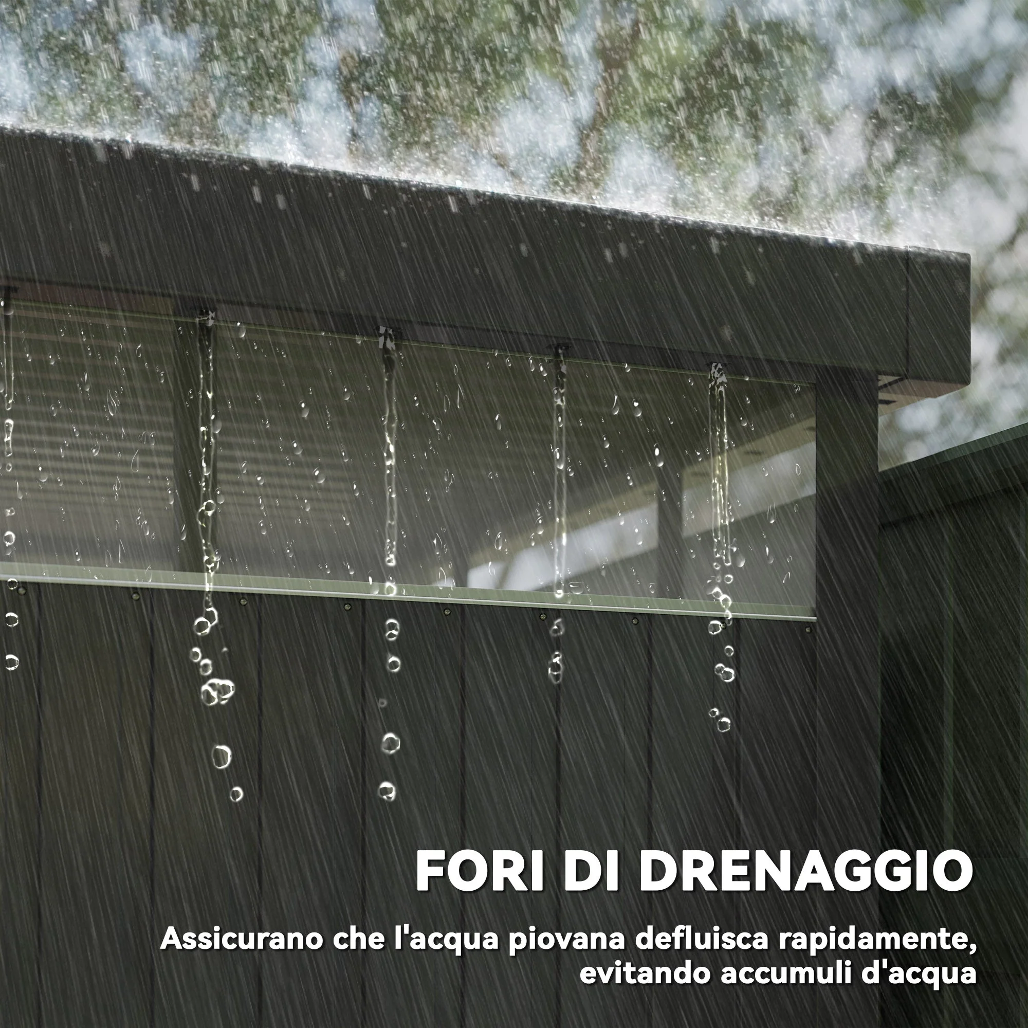 Immagine prodotto 6