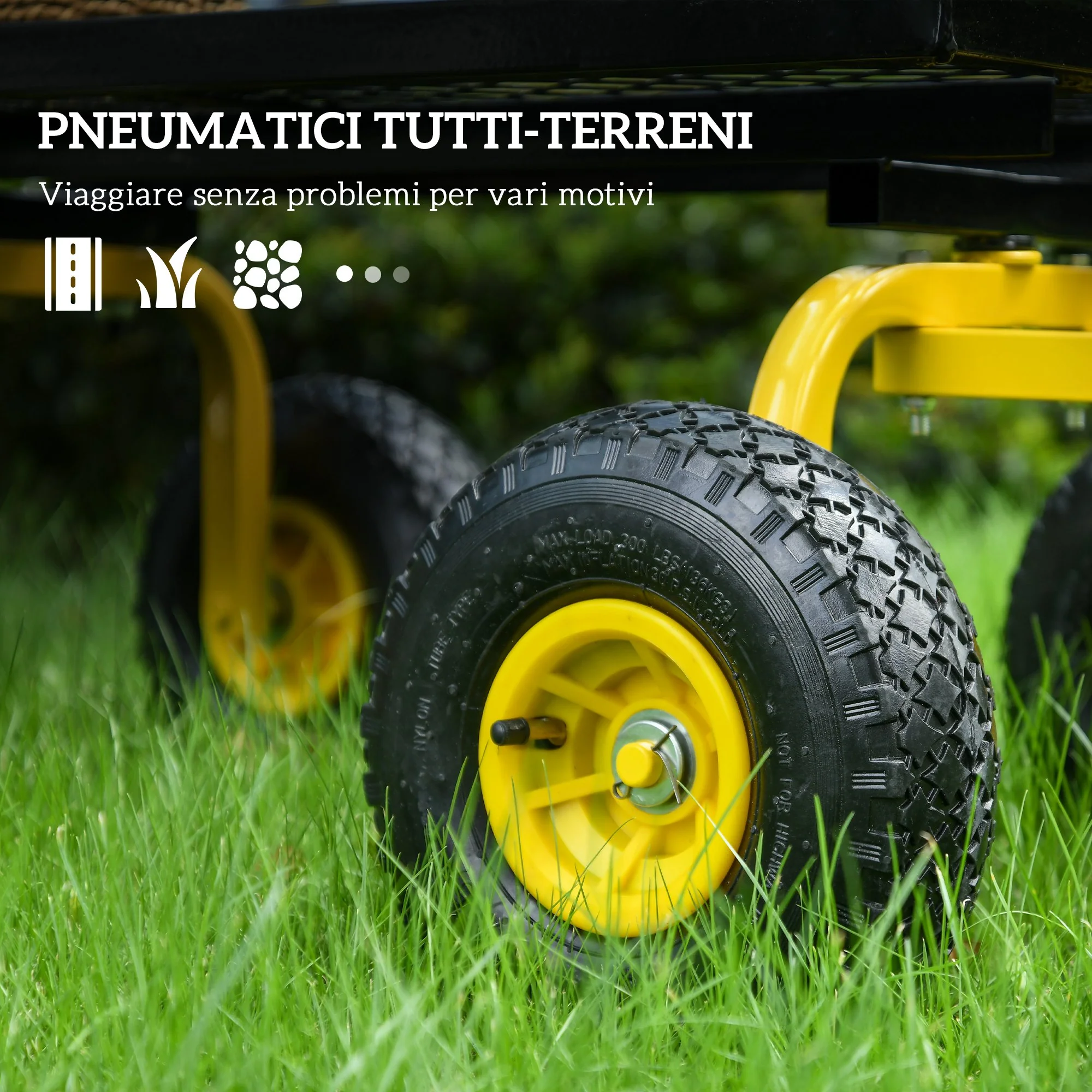 Immagine prodotto 5